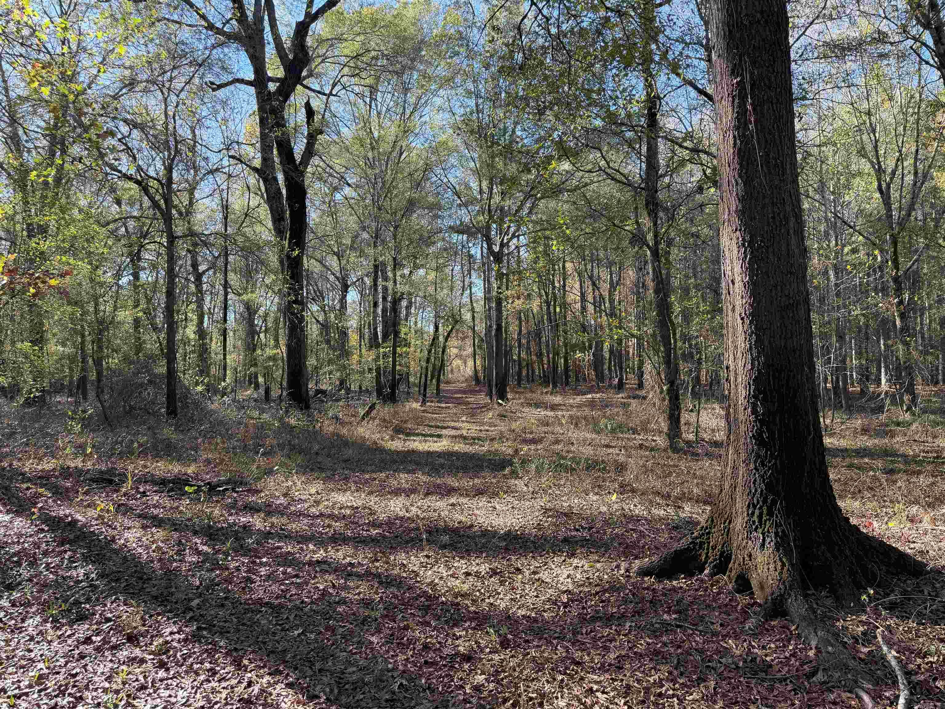   BUTLER LN  DeWitt, AR
