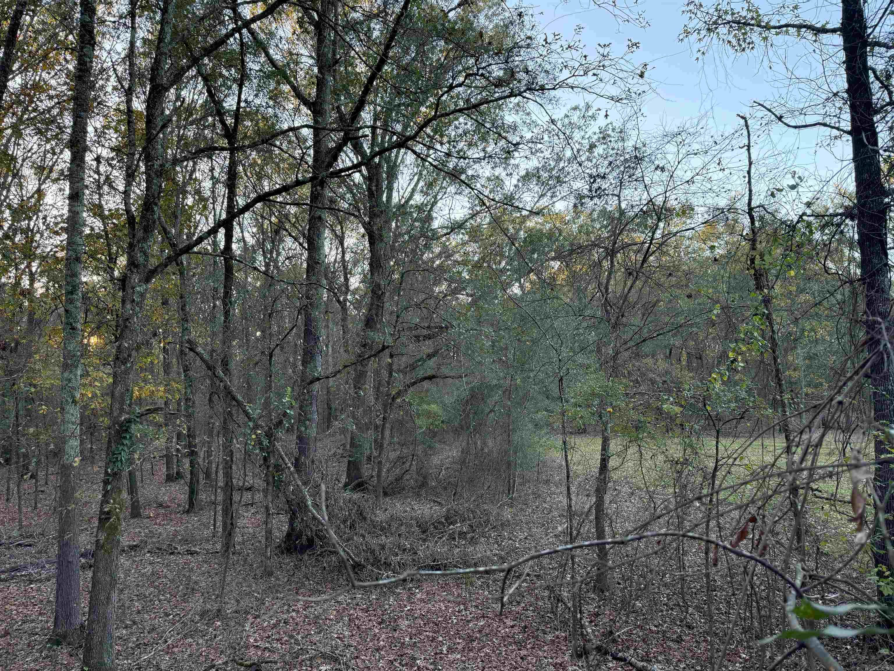   BUTLER LN  DeWitt, AR