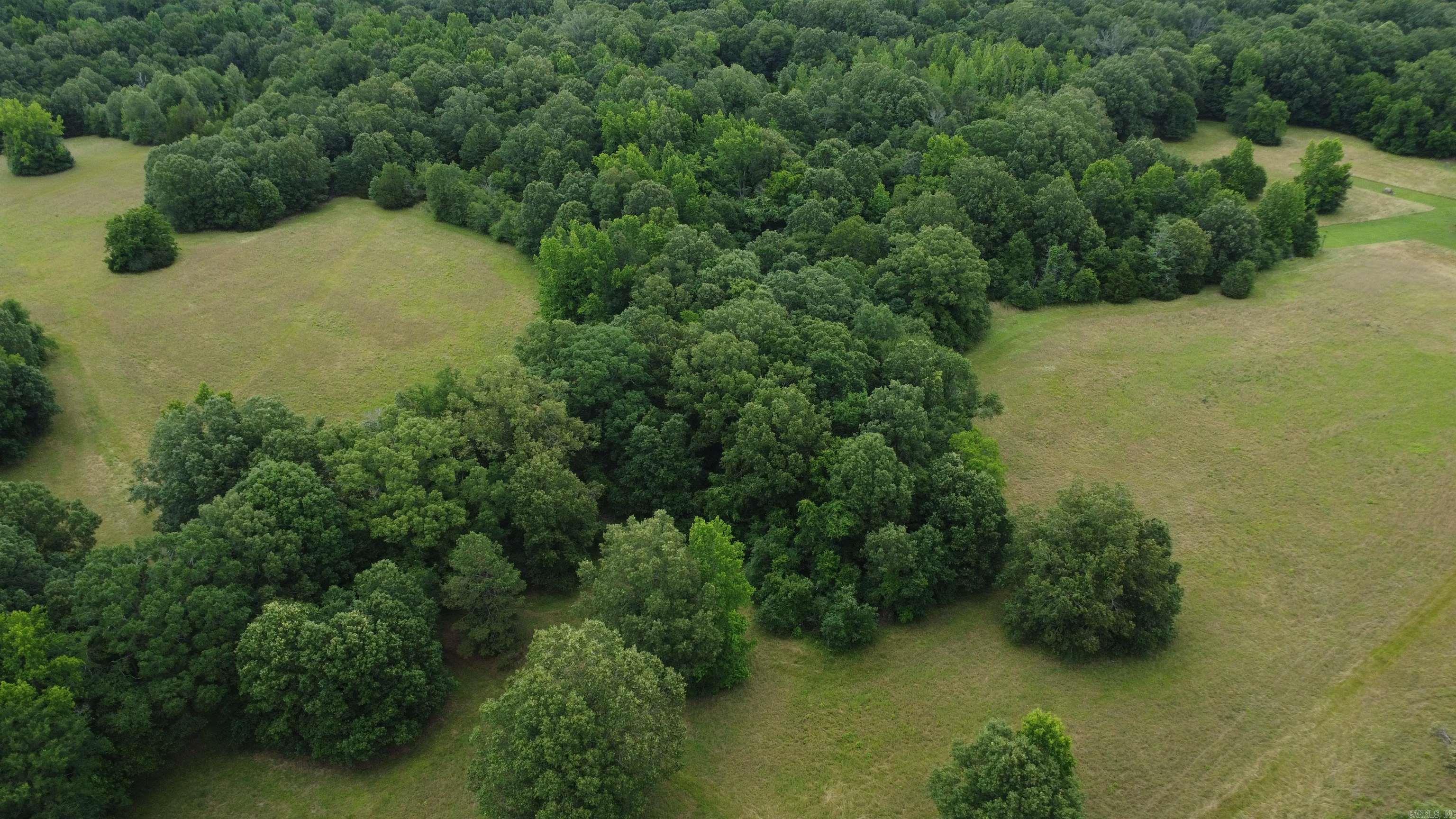   BUTLER LN  DeWitt, AR