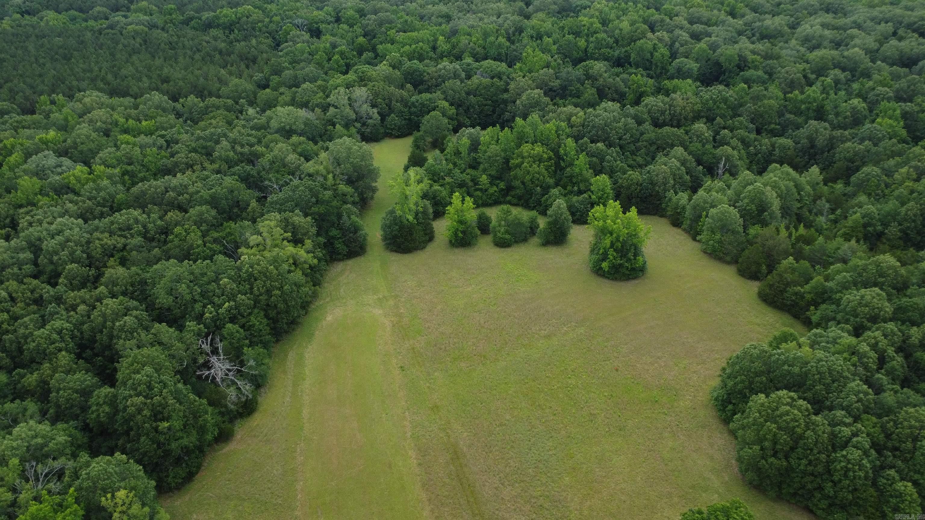   BUTLER LN  DeWitt, AR