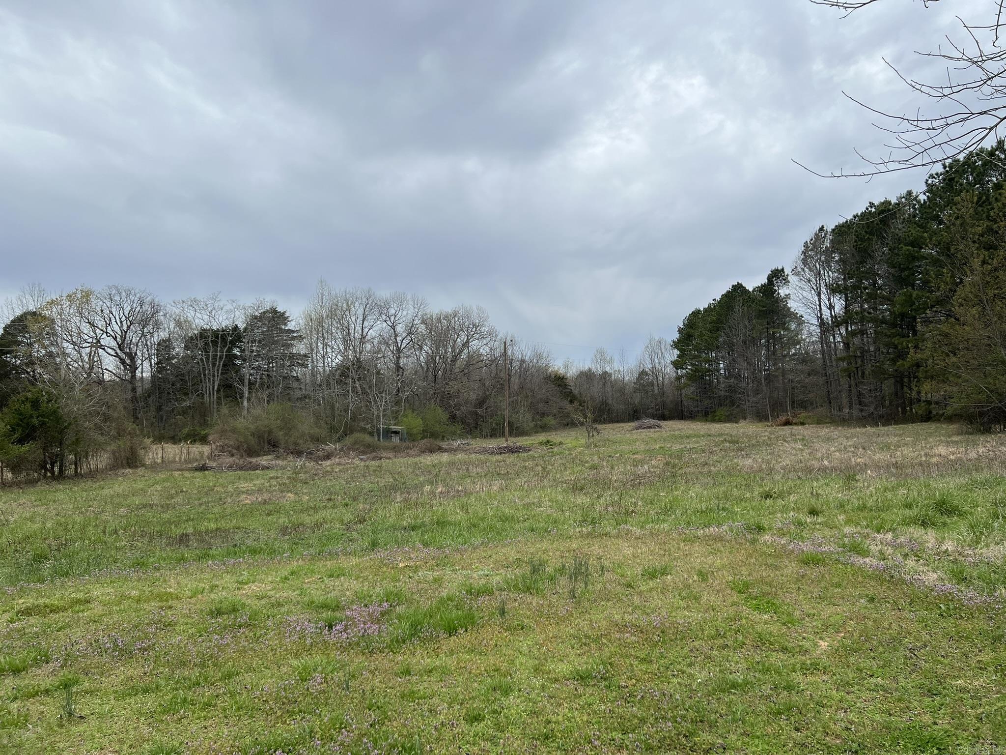 133  Old Texas  Quitman, AR