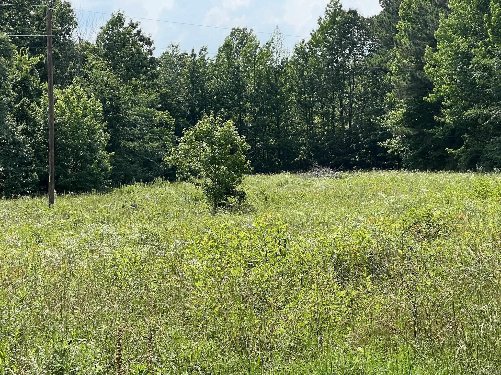 133  Old Texas  Quitman, AR
