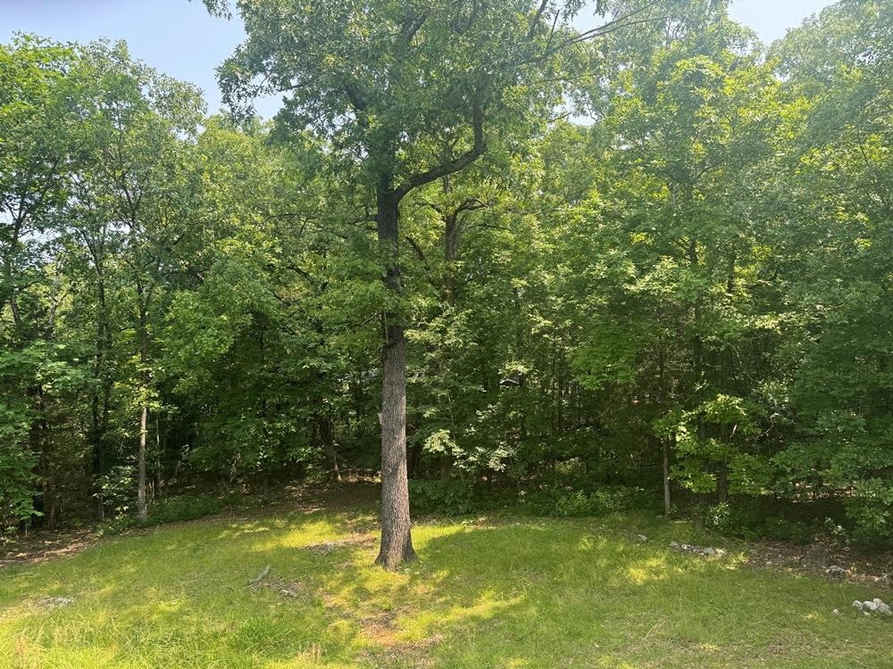 53  Iowa  Cherokee Village, AR