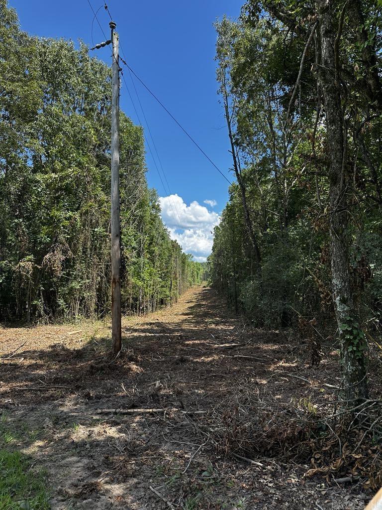 TBD Polk Road 28  Hatfield, AR