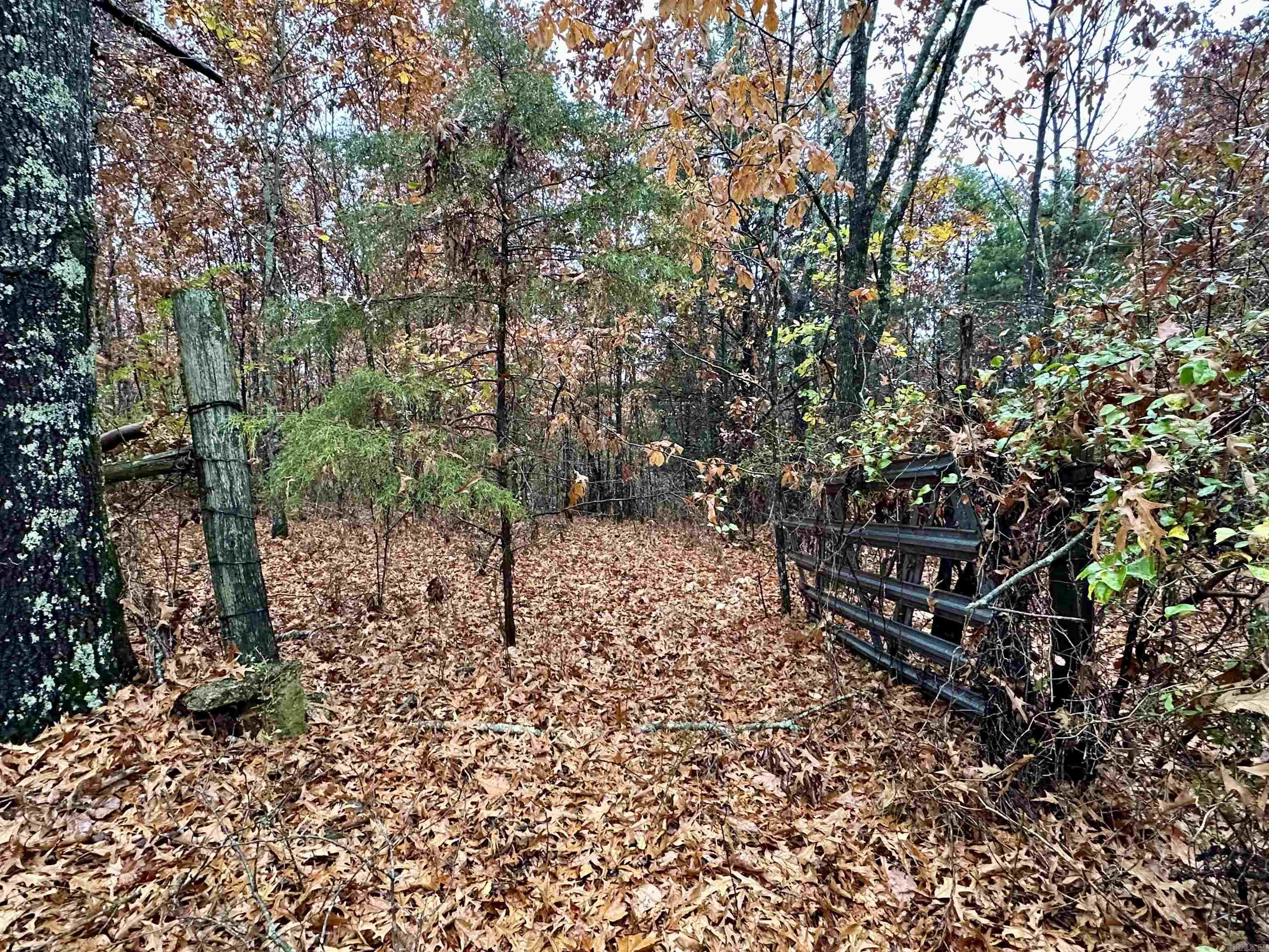 TBD  Polk Road 28  Hatfield, AR