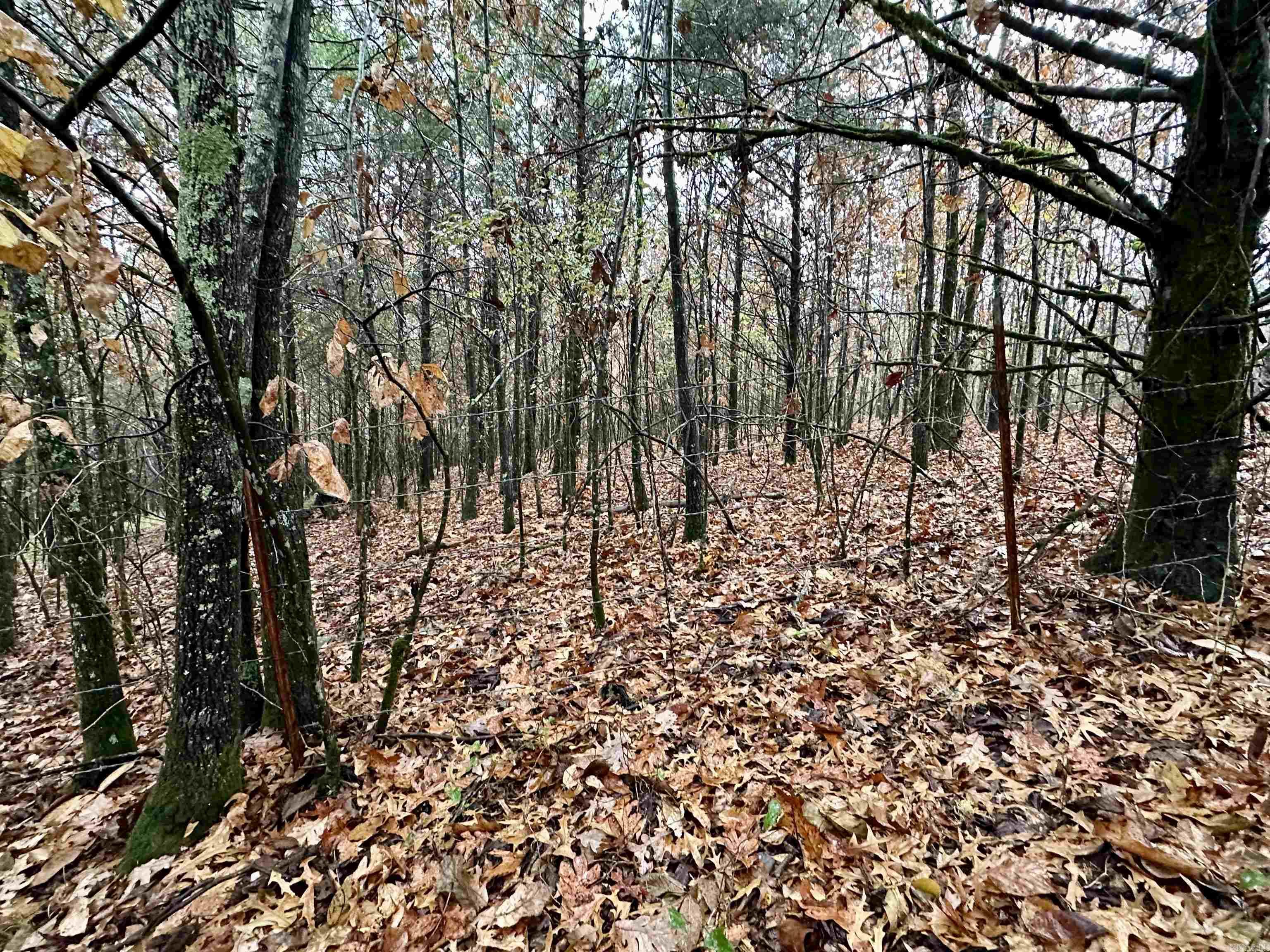 TBD  Polk Road 28  Hatfield, AR