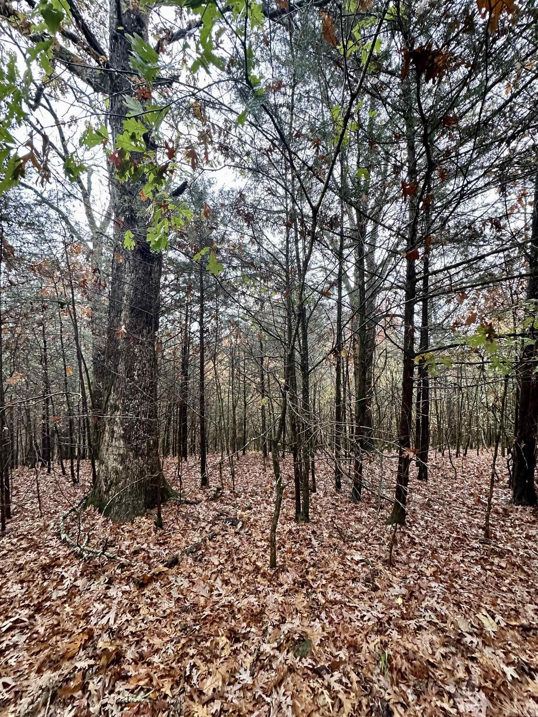 TBD  Polk Road 28  Hatfield, AR