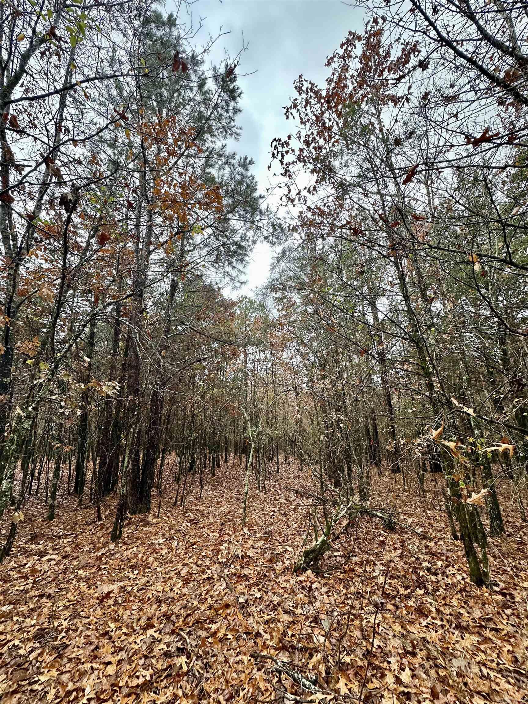 TBD  Polk Road 28  Hatfield, AR