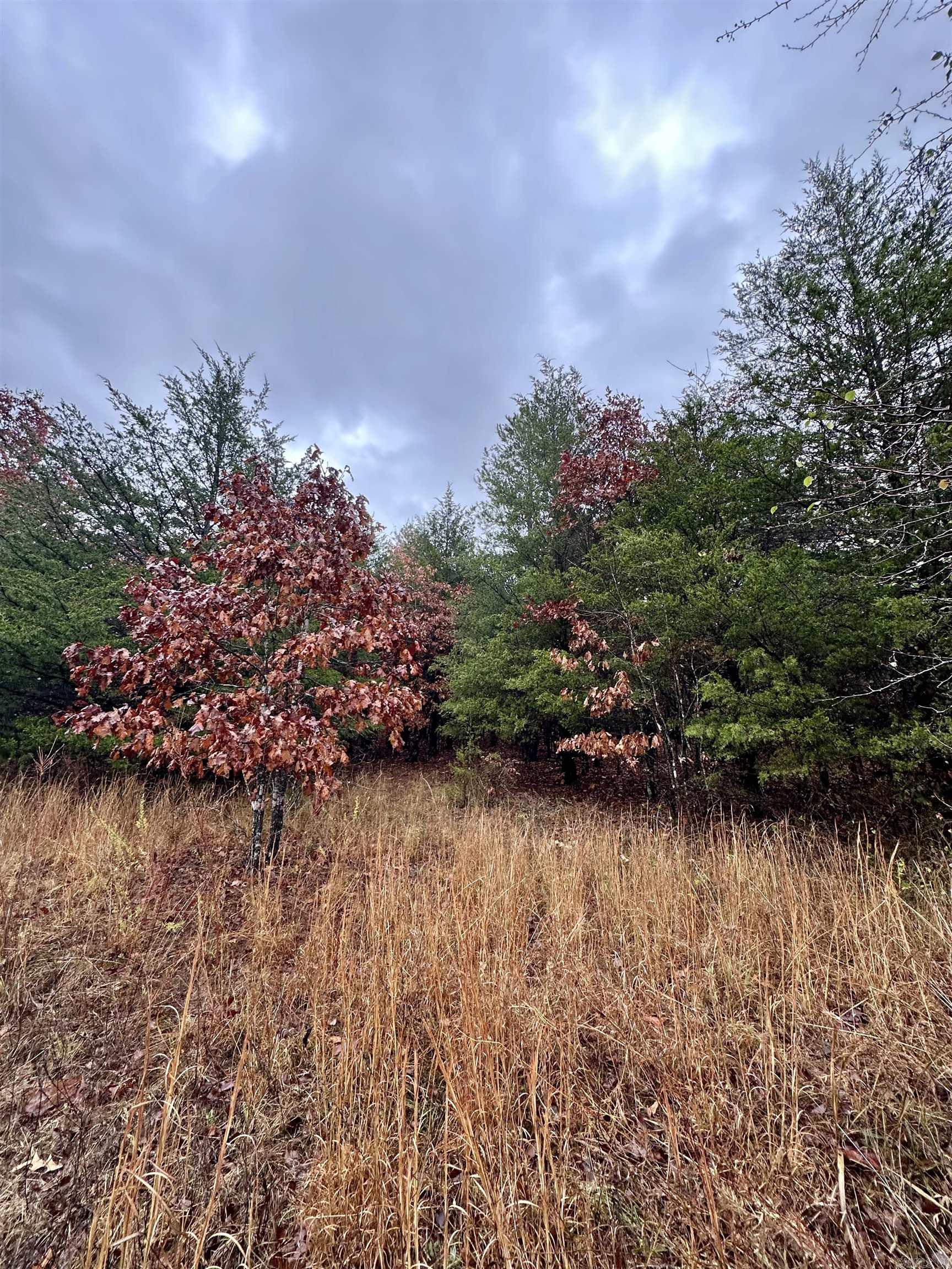 TBD  Polk Road 28  Hatfield, AR