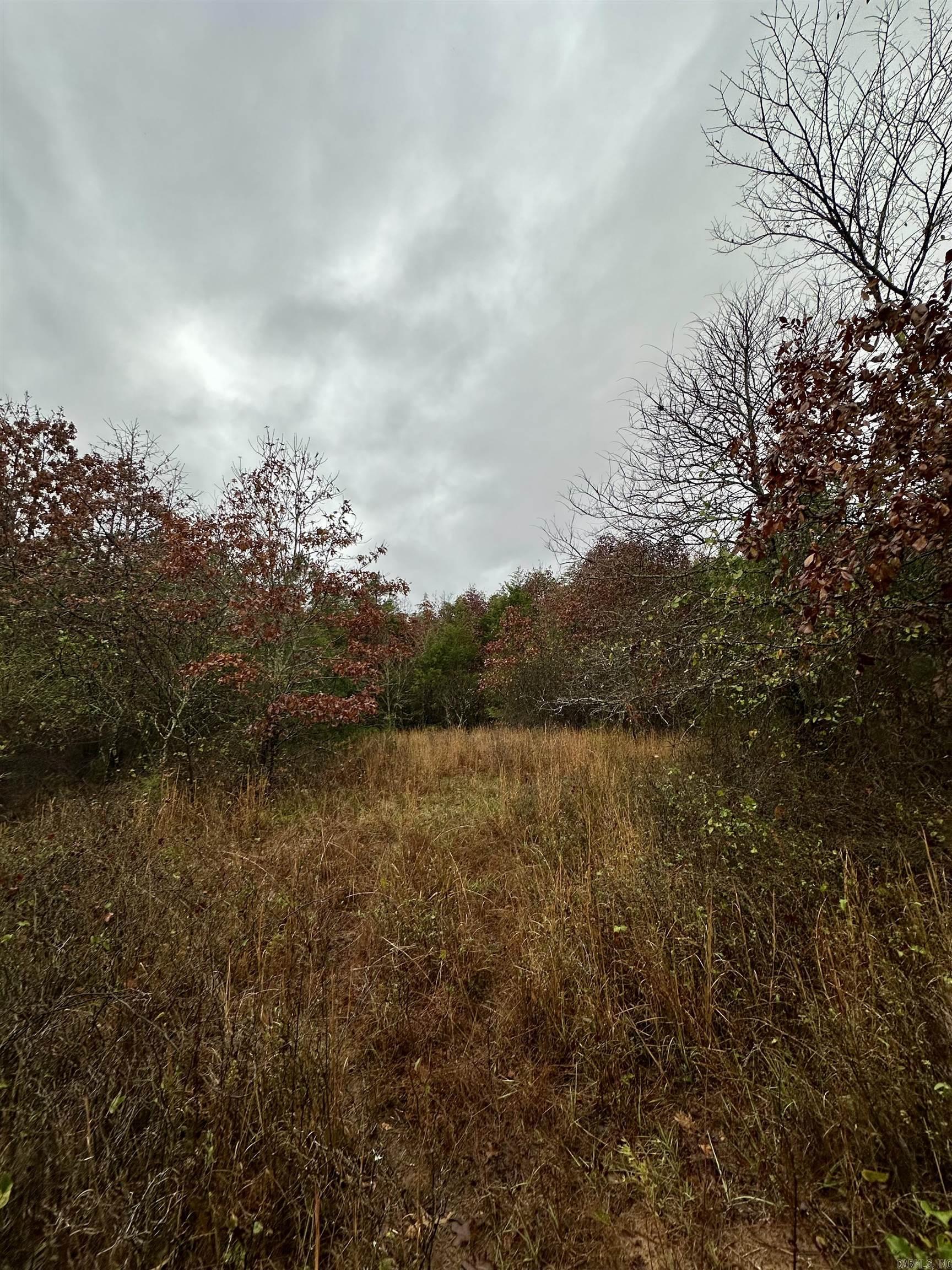 TBD  Polk Road 28  Hatfield, AR