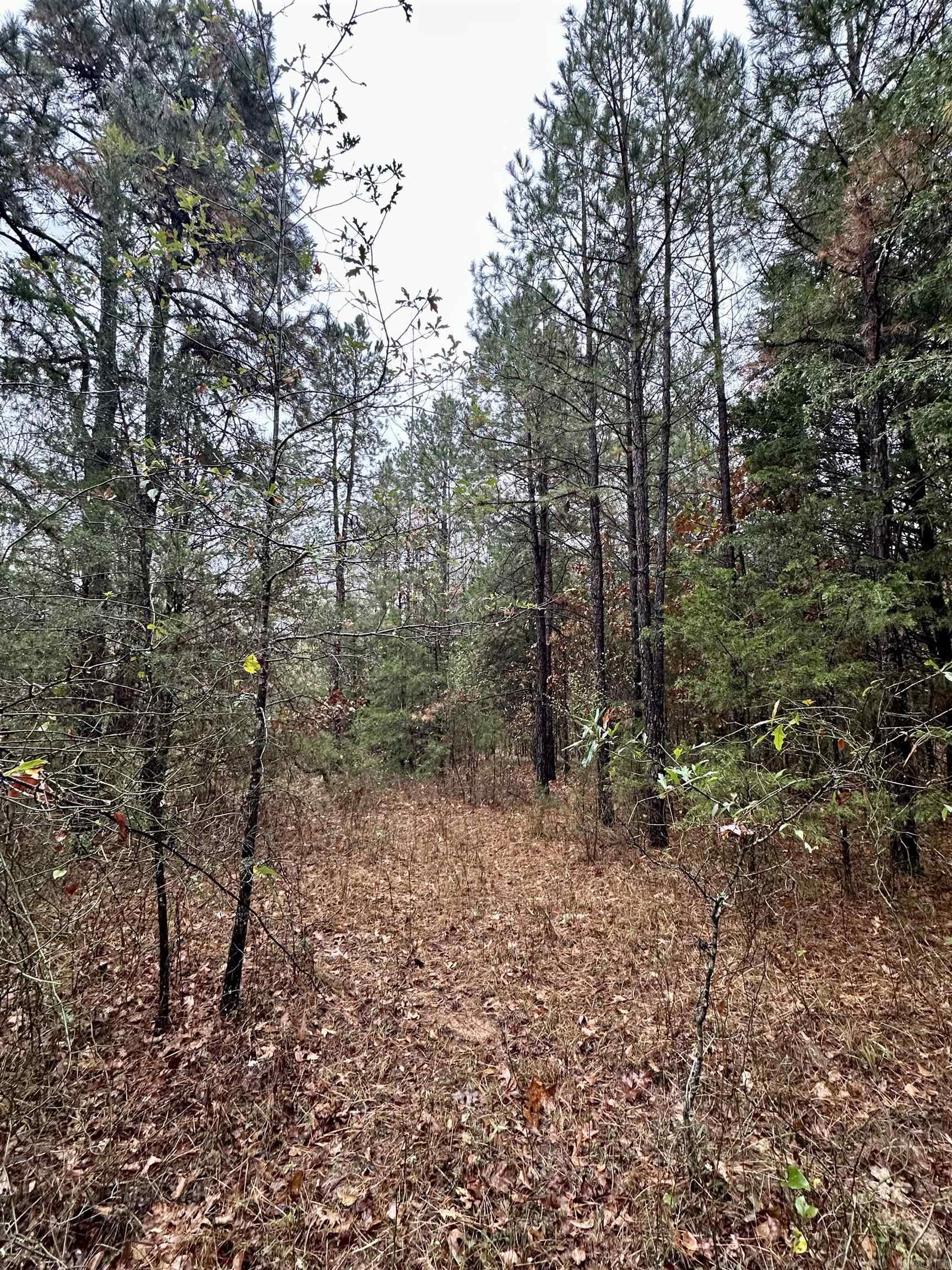 TBD  Polk Road 28  Hatfield, AR