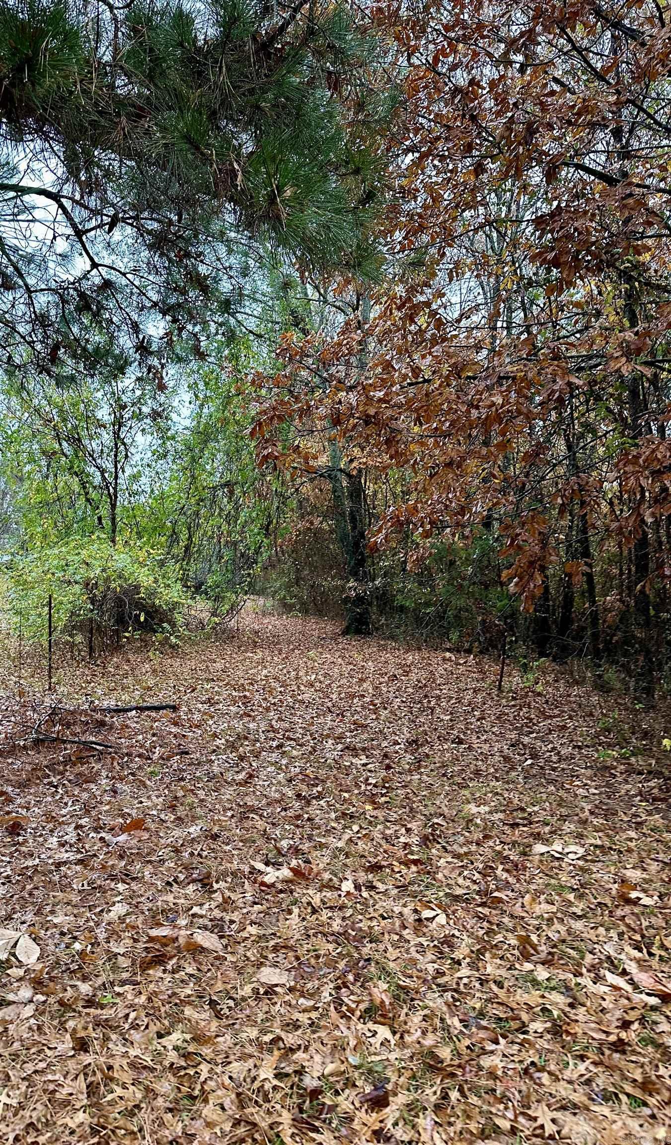 TBD  Polk Road 28  Hatfield, AR