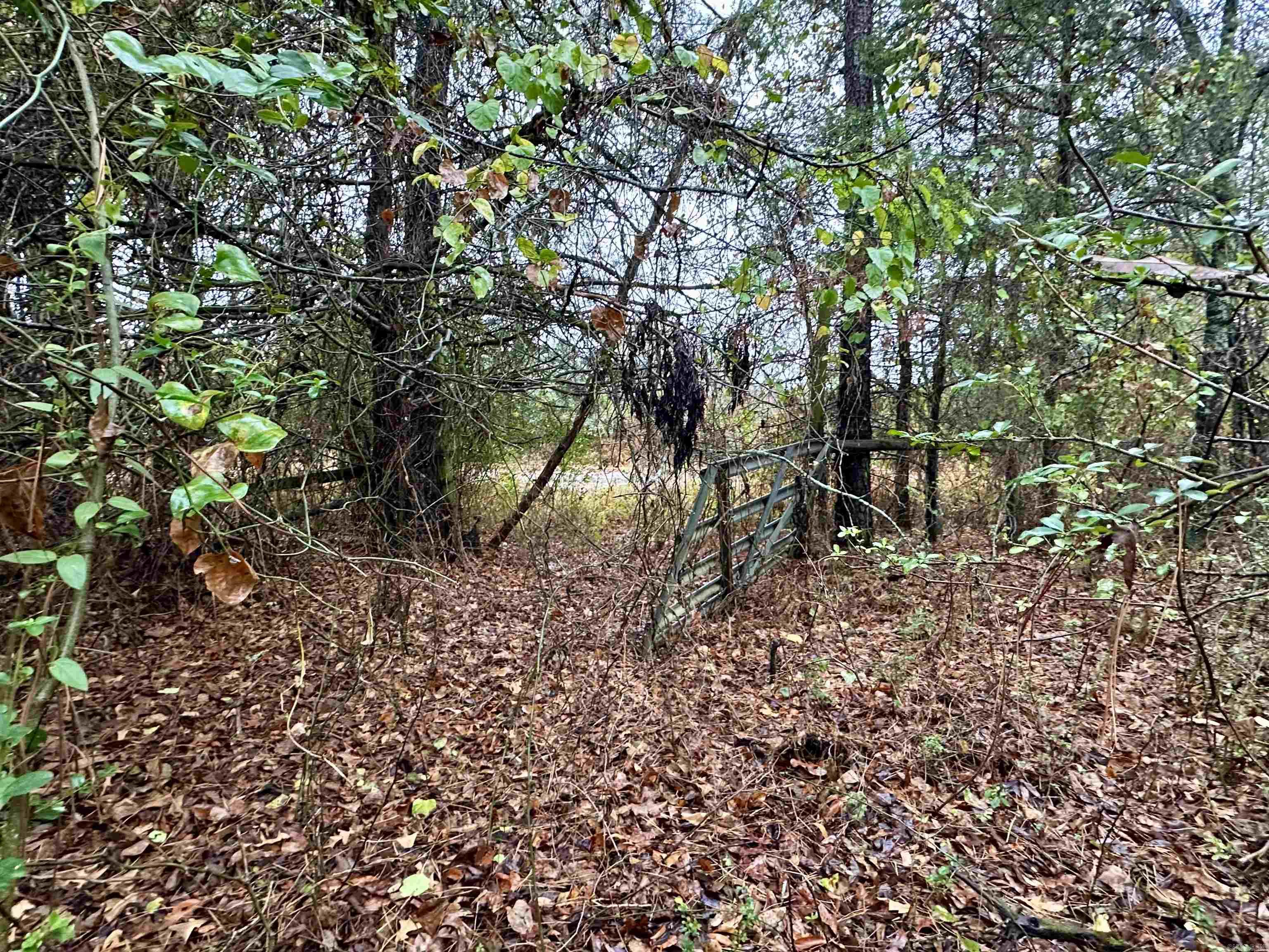 TBD  Polk Road 28  Hatfield, AR