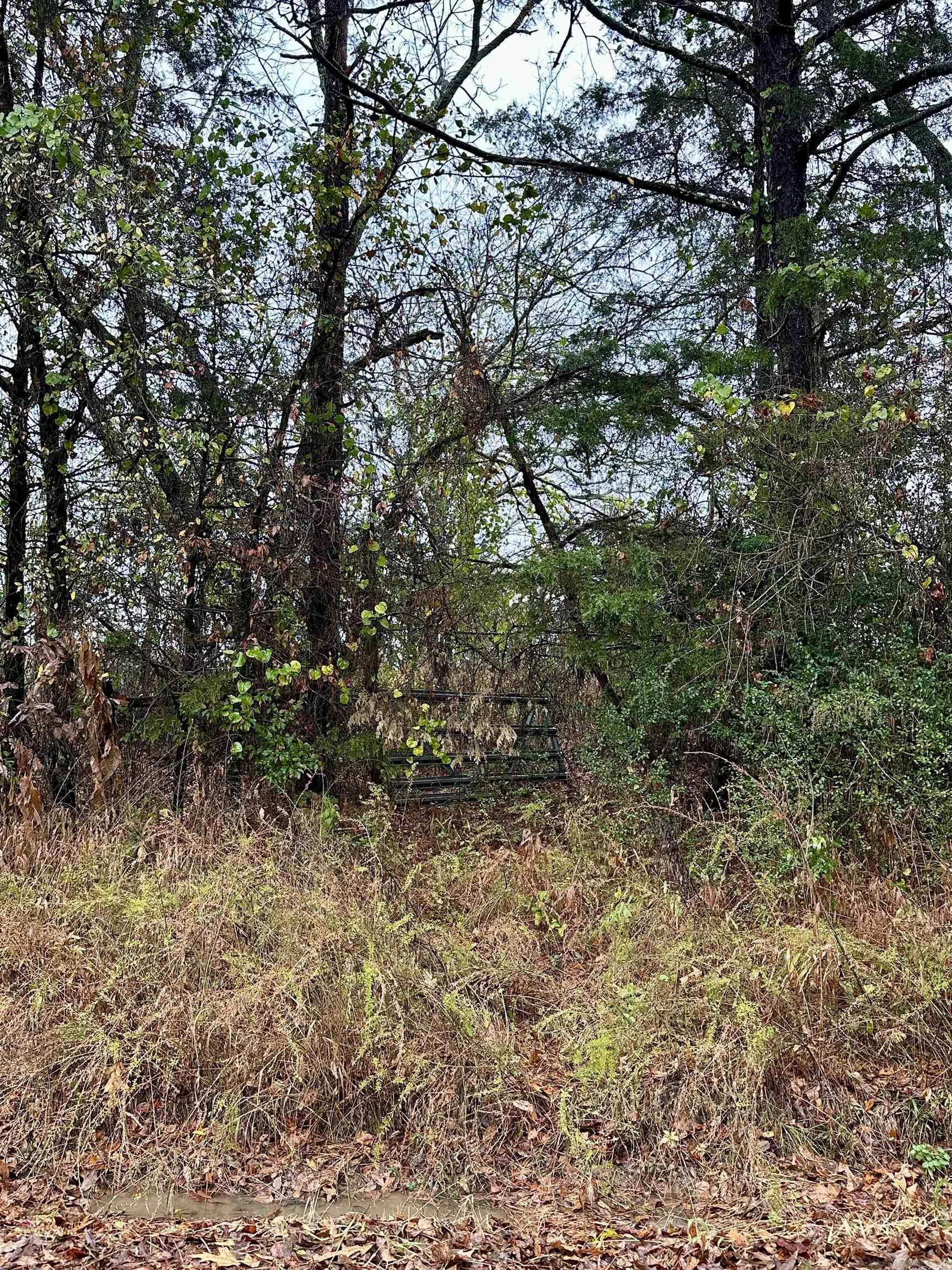 TBD  Polk Road 28  Hatfield, AR