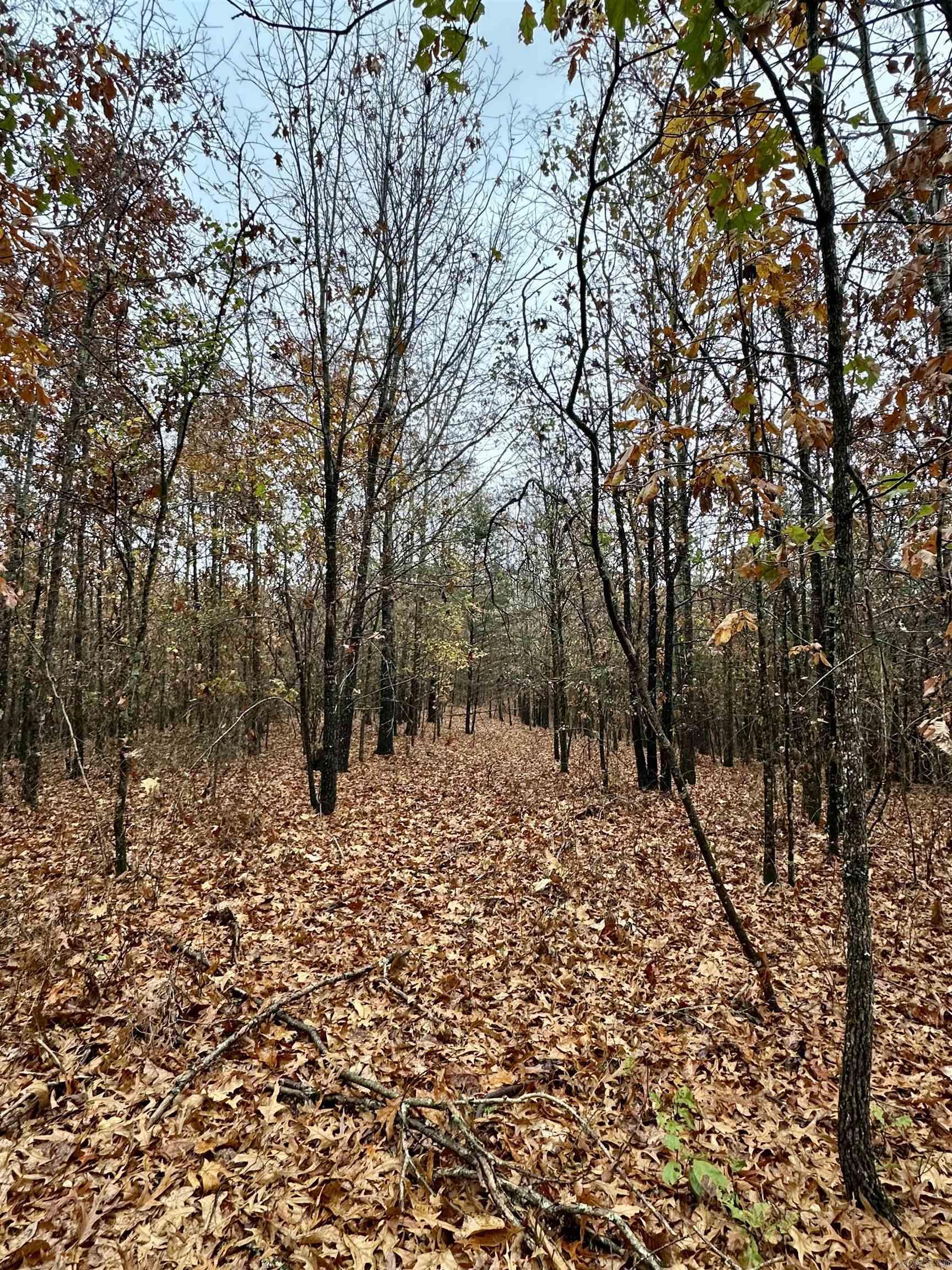 TBD  Polk Road 28  Hatfield, AR