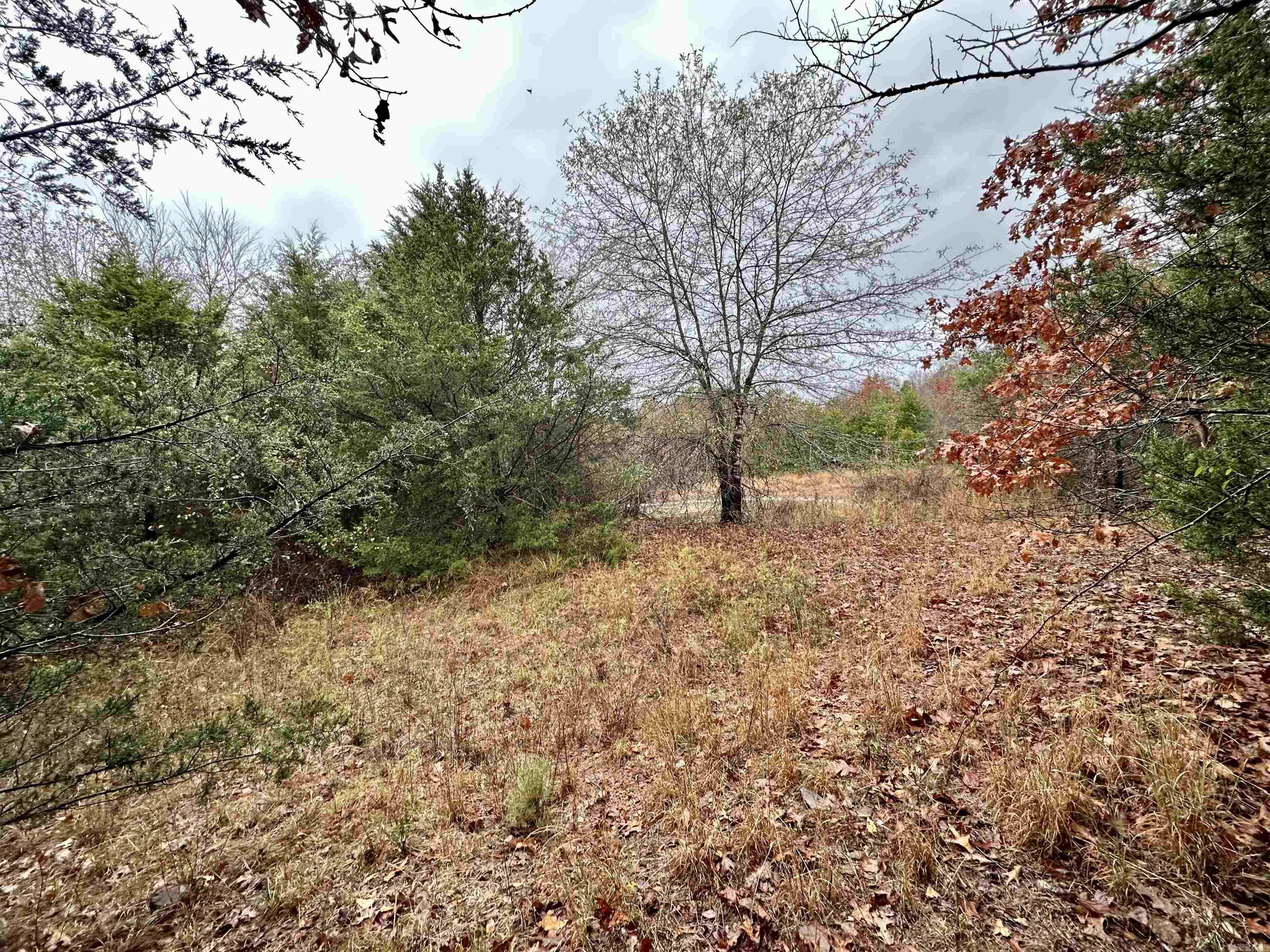 TBD  Polk Road 28  Hatfield, AR