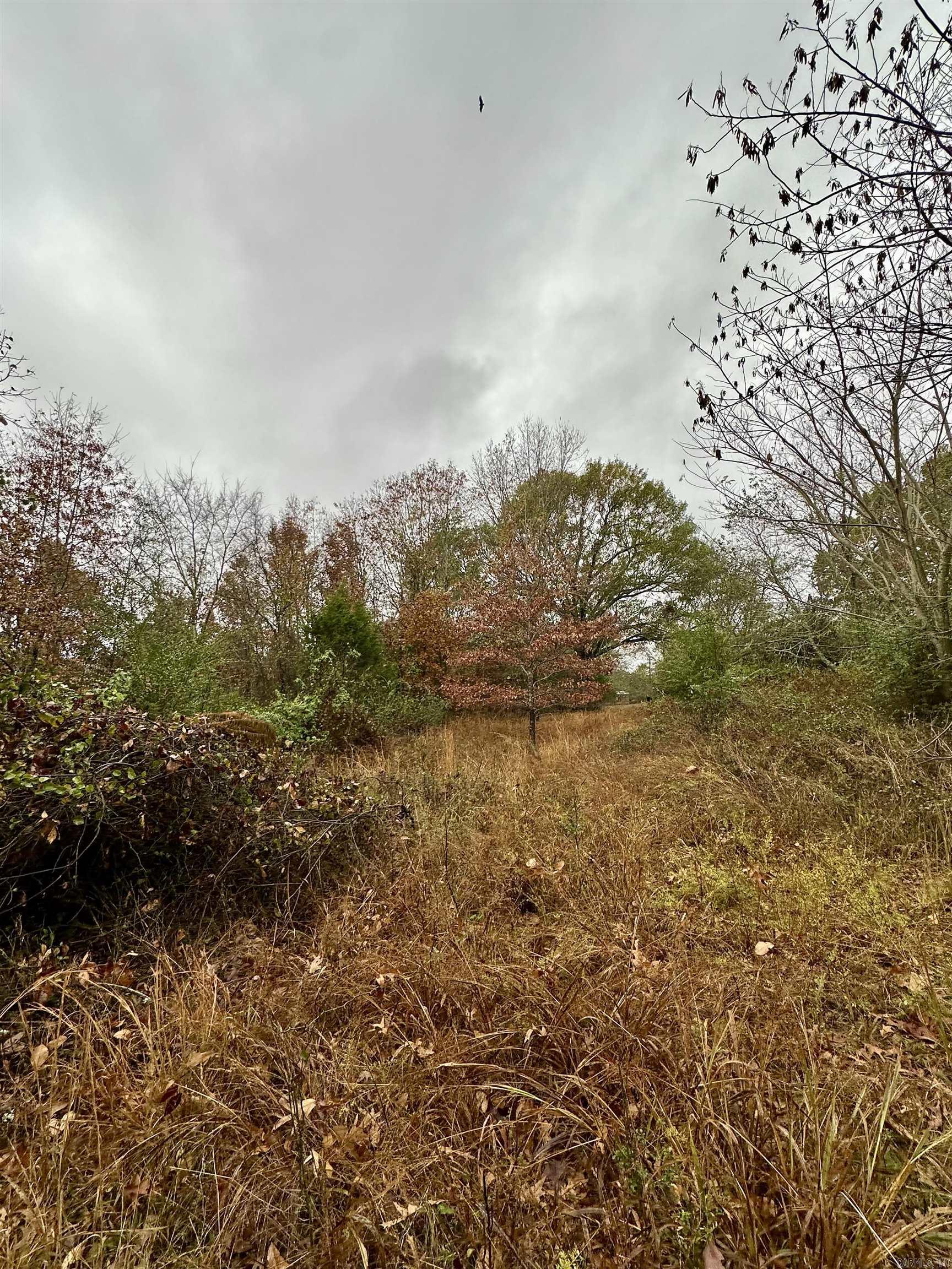 TBD  Polk Road 28  Hatfield, AR
