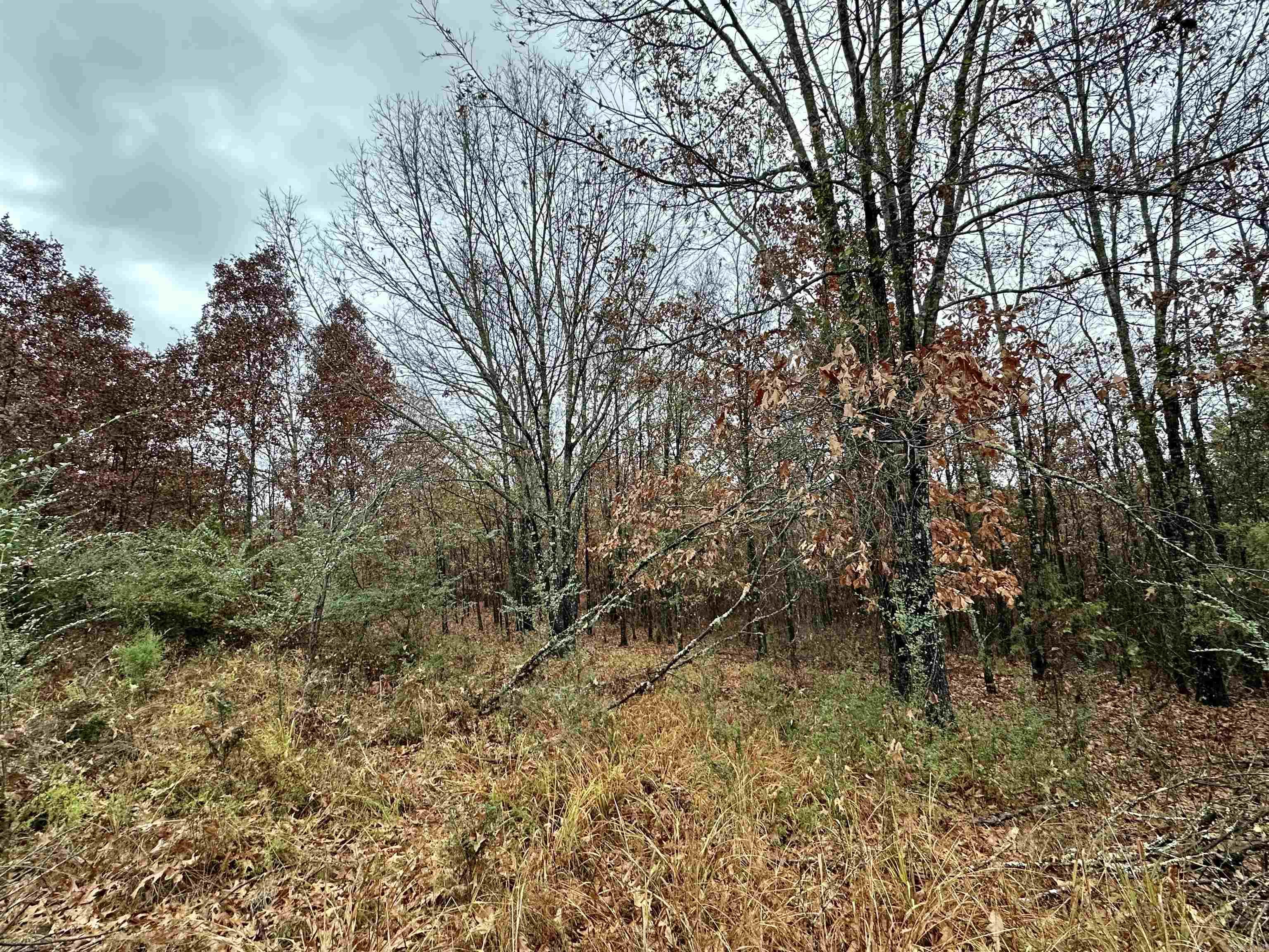 TBD  Polk Road 28  Hatfield, AR