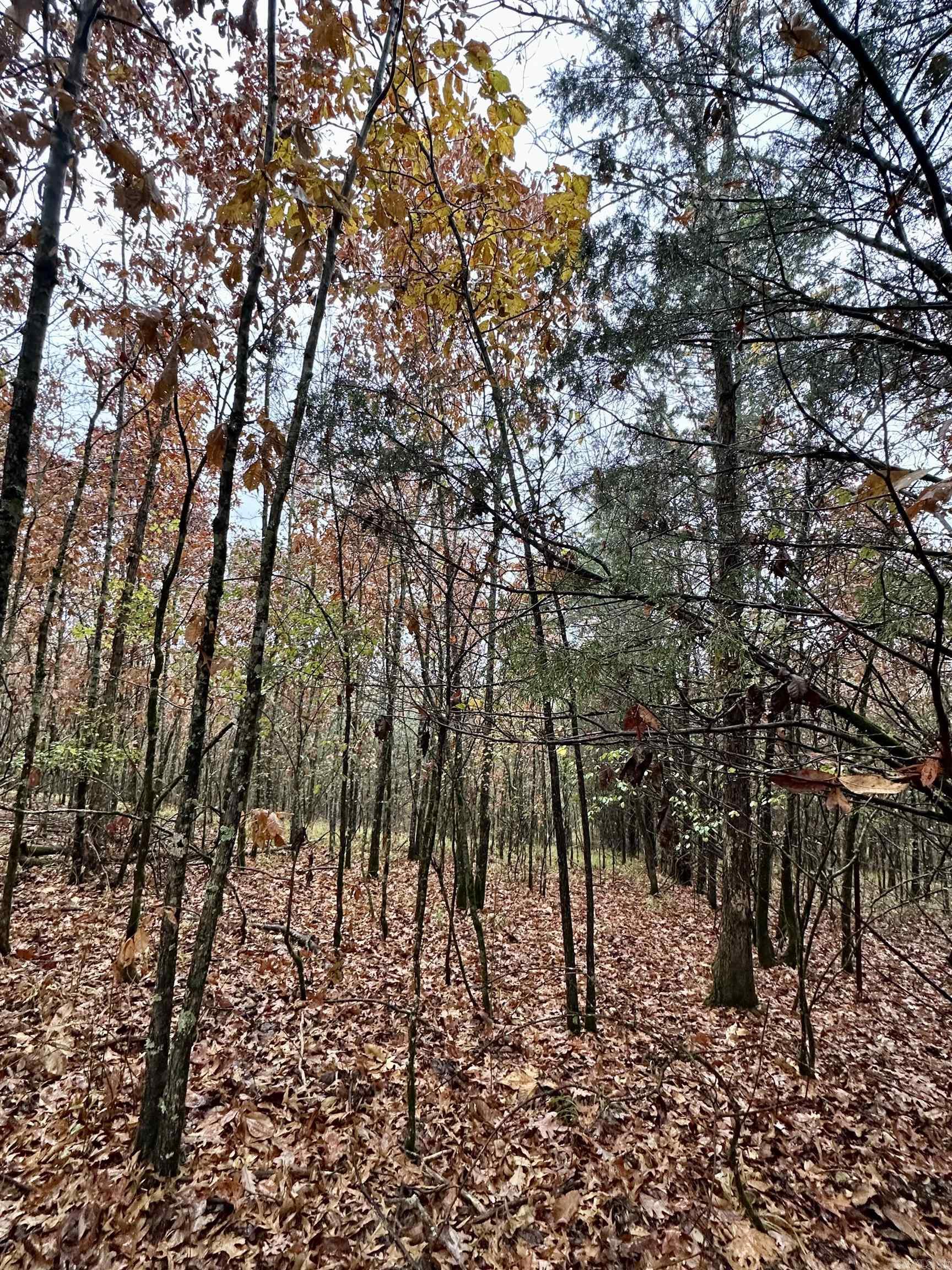 TBD  Polk Road 28  Hatfield, AR