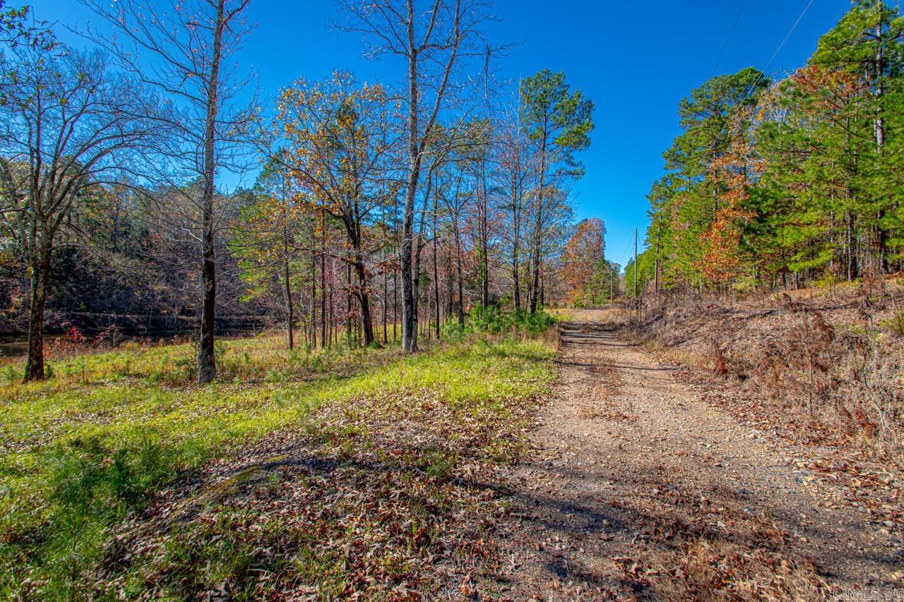 00  Brush Mountain  Paron, AR