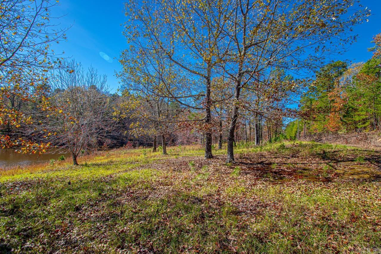 00  Brush Mountain  Paron, AR