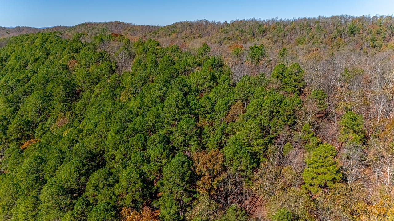00  Brush Mountain  Paron, AR