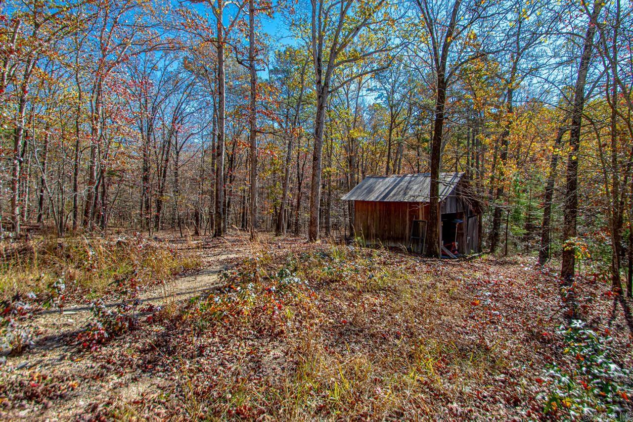 00  Brush Mountain  Paron, AR