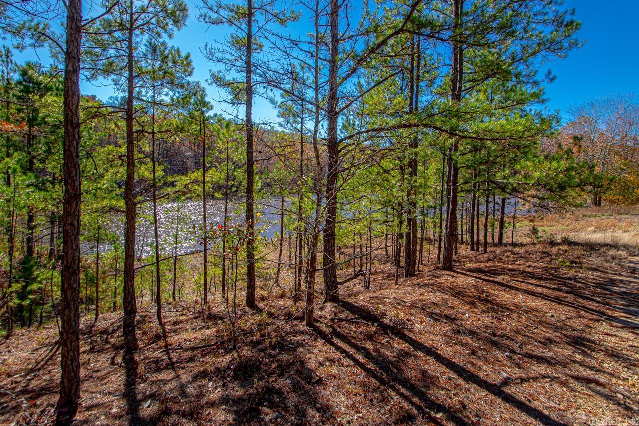 00  Brush Mountain  Paron, AR