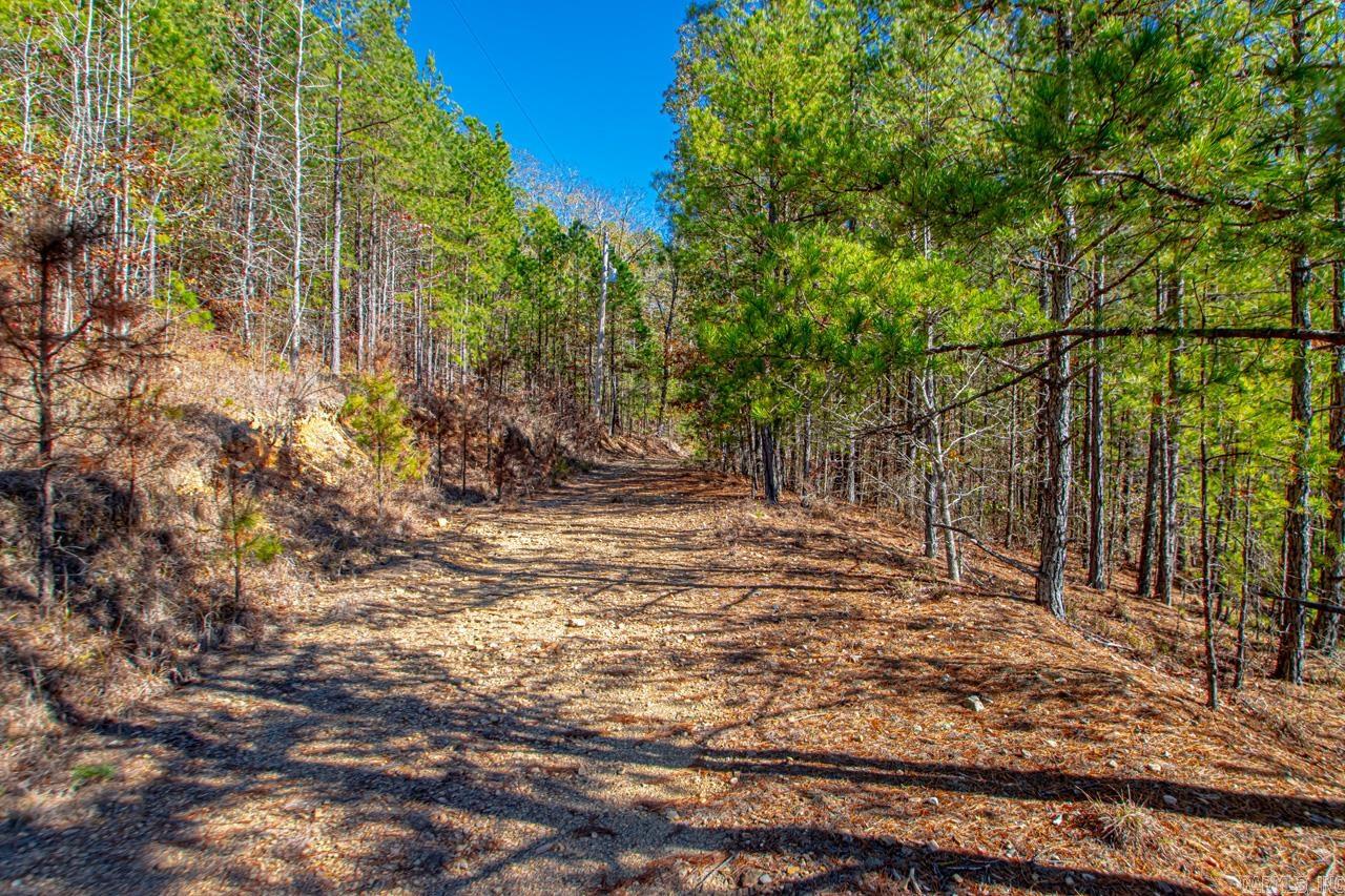 00  Brush Mountain  Paron, AR
