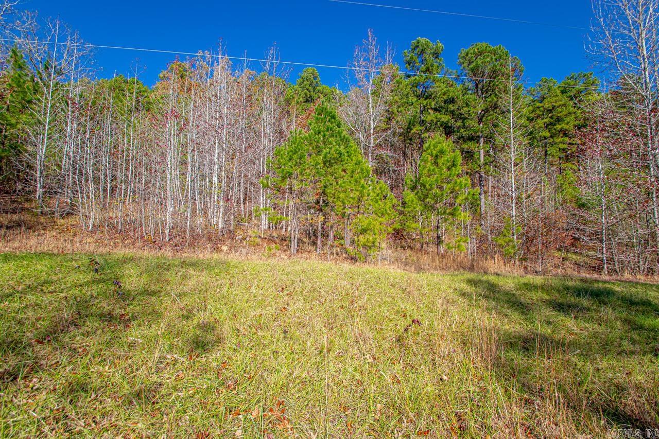 00  Brush Mountain  Paron, AR