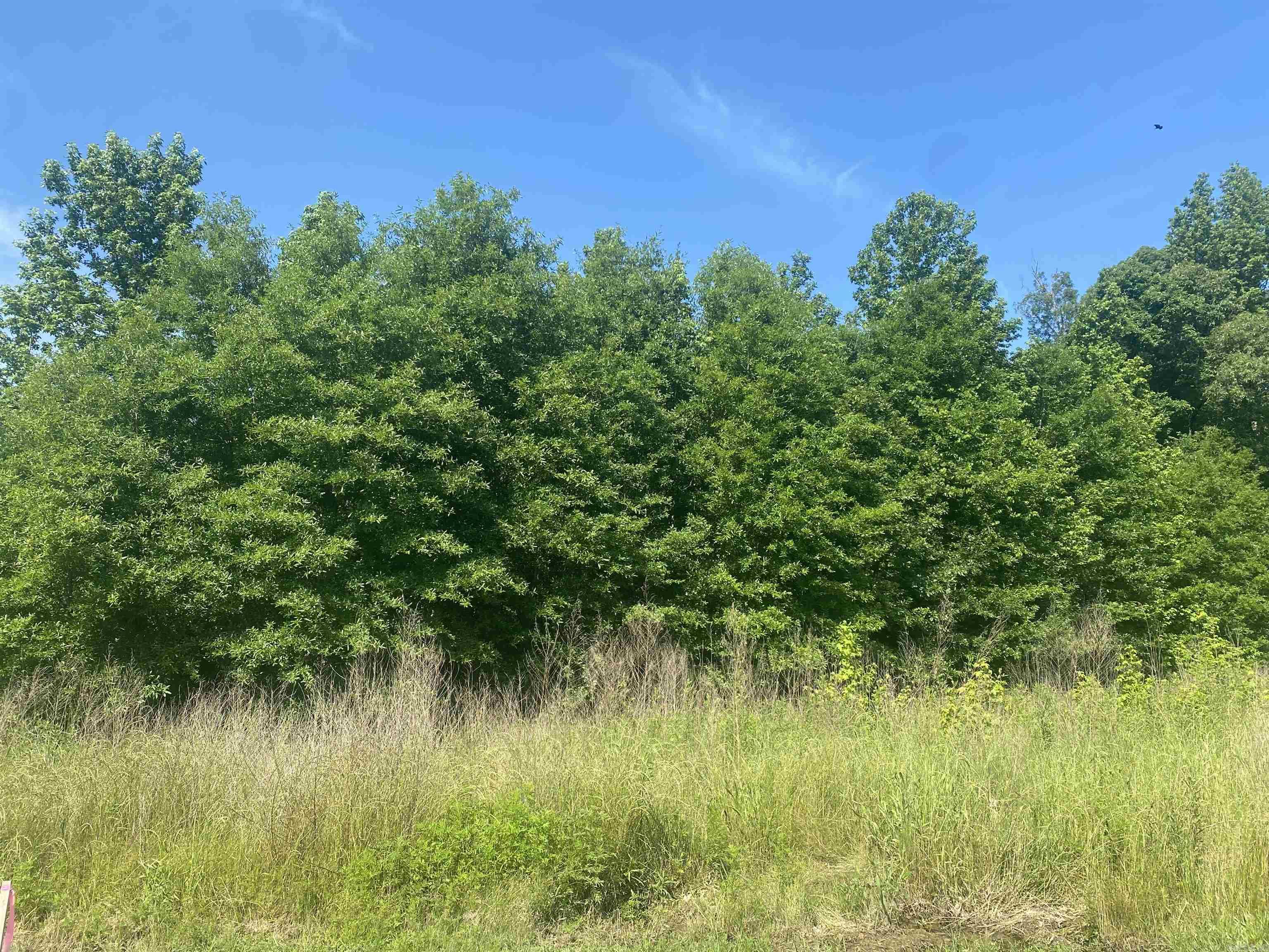 Lot 24 and 25  Cinel  Austin, AR
