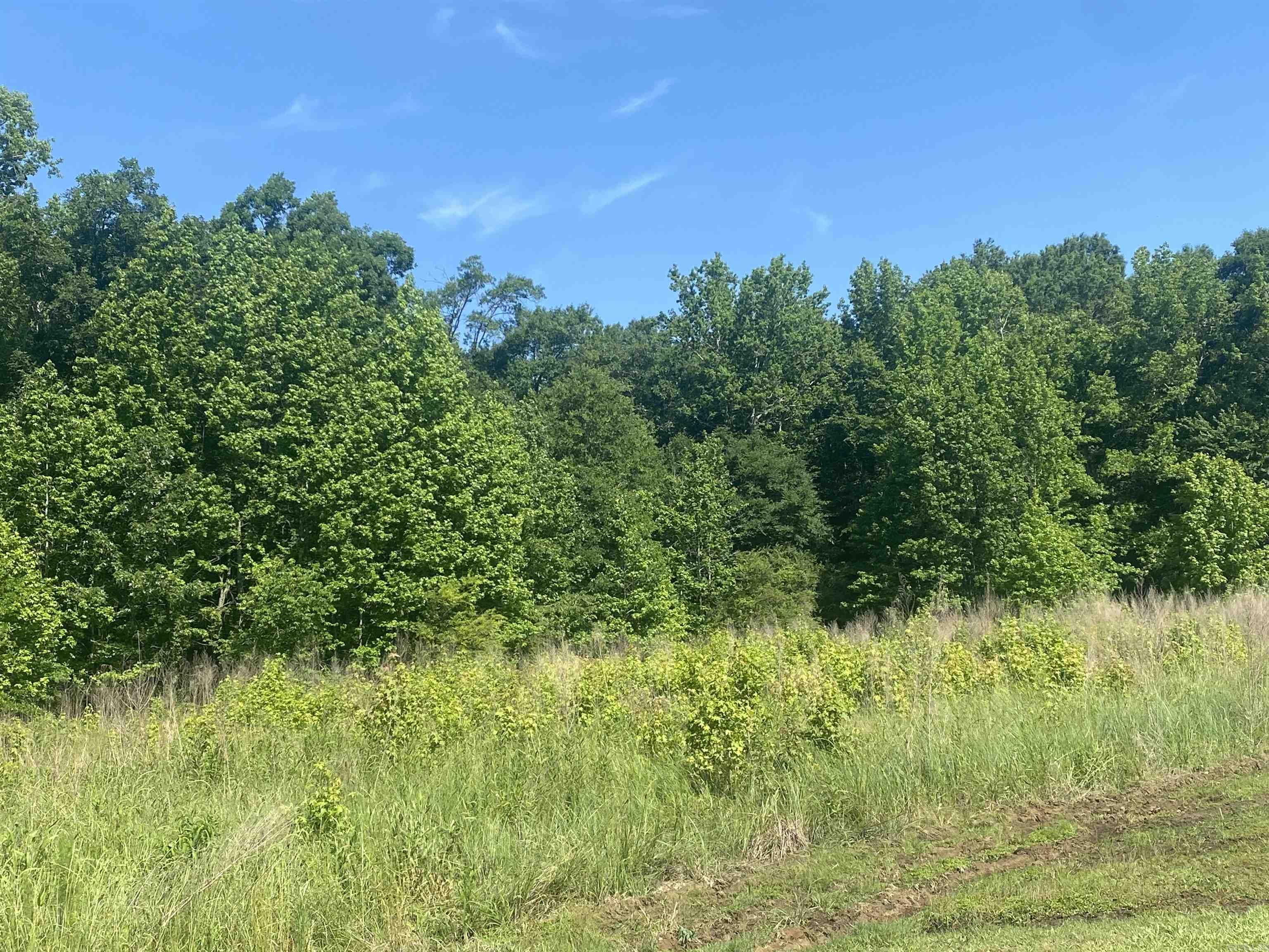 Lot 24 and 25  Cinel  Austin, AR