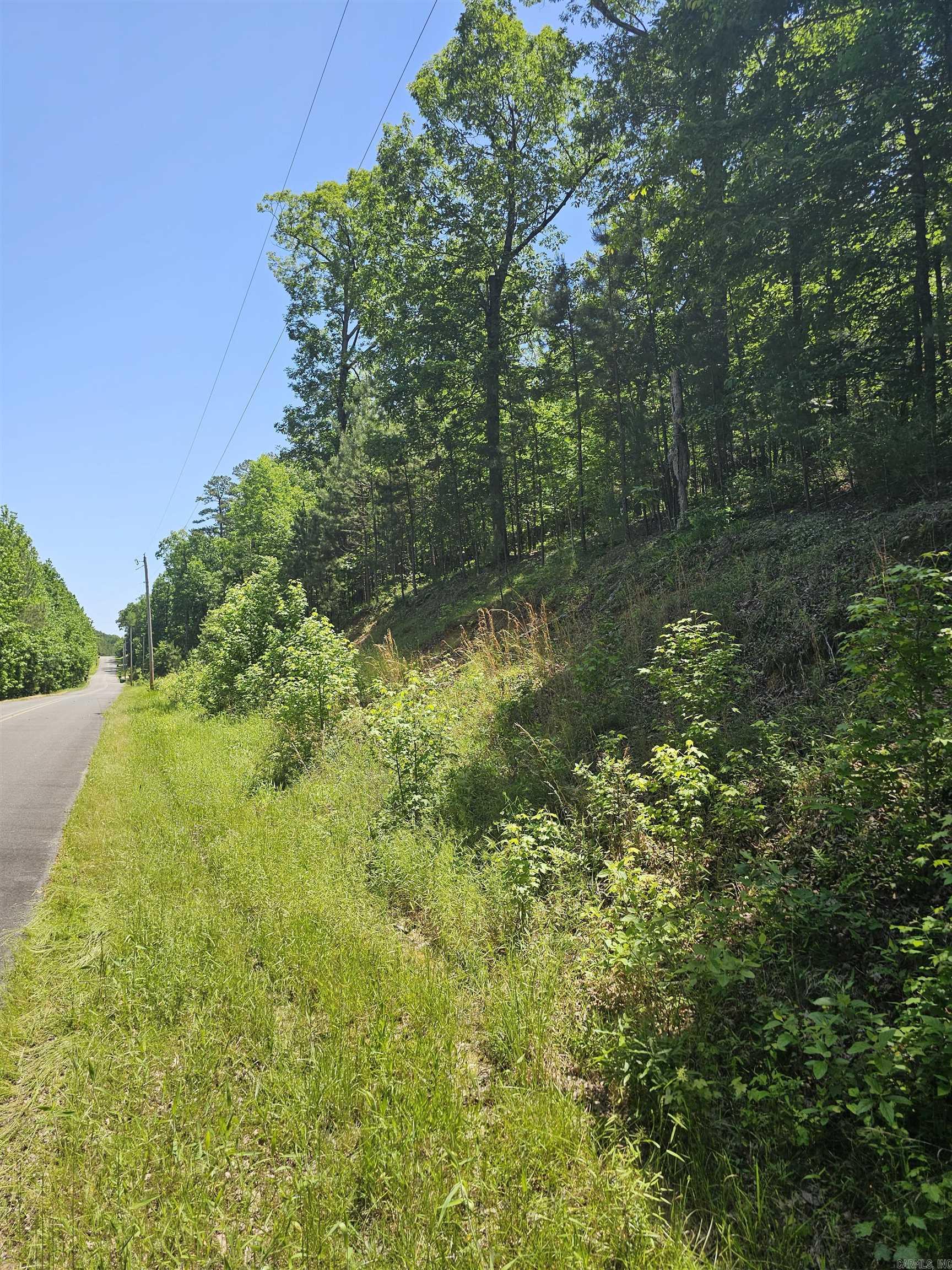 21  Bald Eagle  Paron, AR
