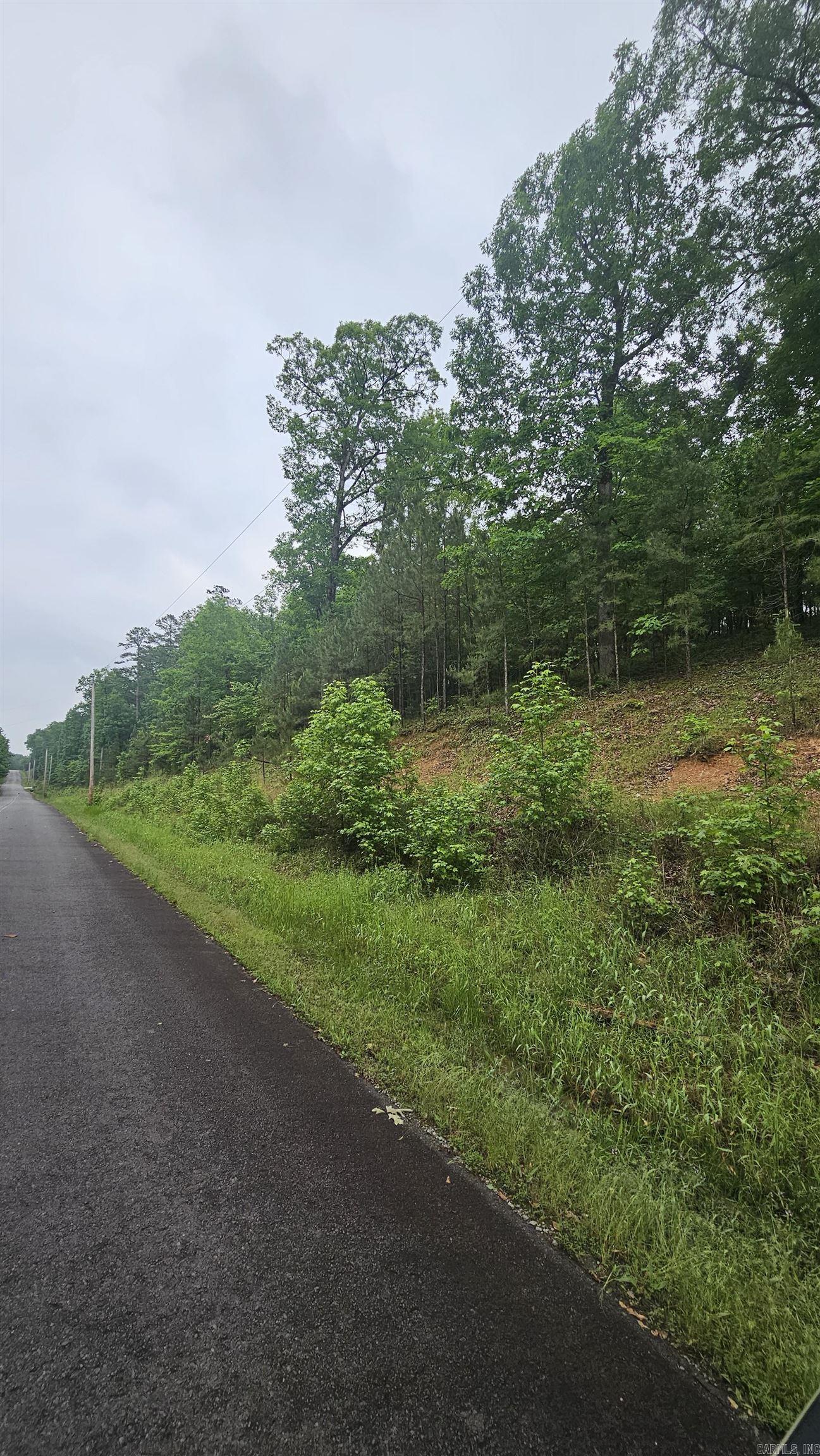 21  Bald Eagle  Paron, AR