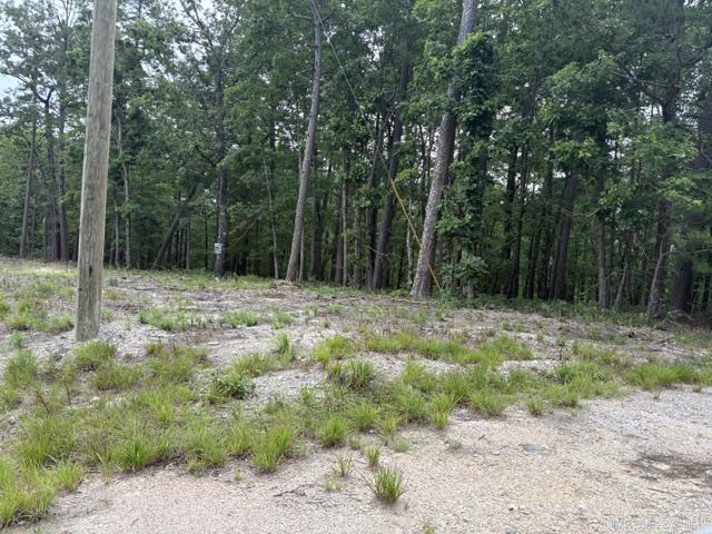 14  Soltar  Hot Springs Village, AR