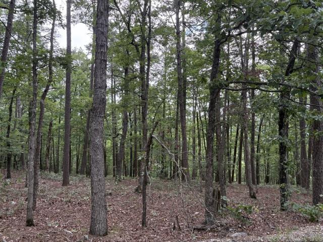 14  Soltar  Hot Springs Village, AR