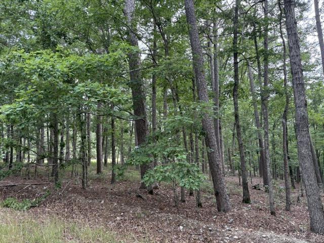 14  Soltar  Hot Springs Village, AR