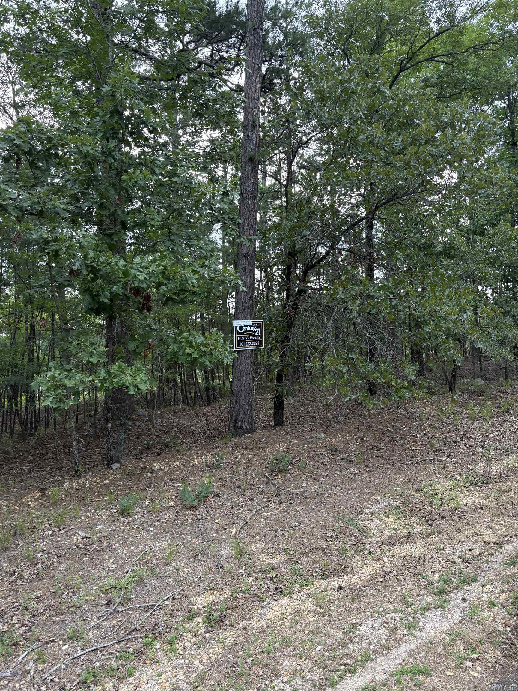 12 & 13  Jaguar  Hot Springs Village, AR