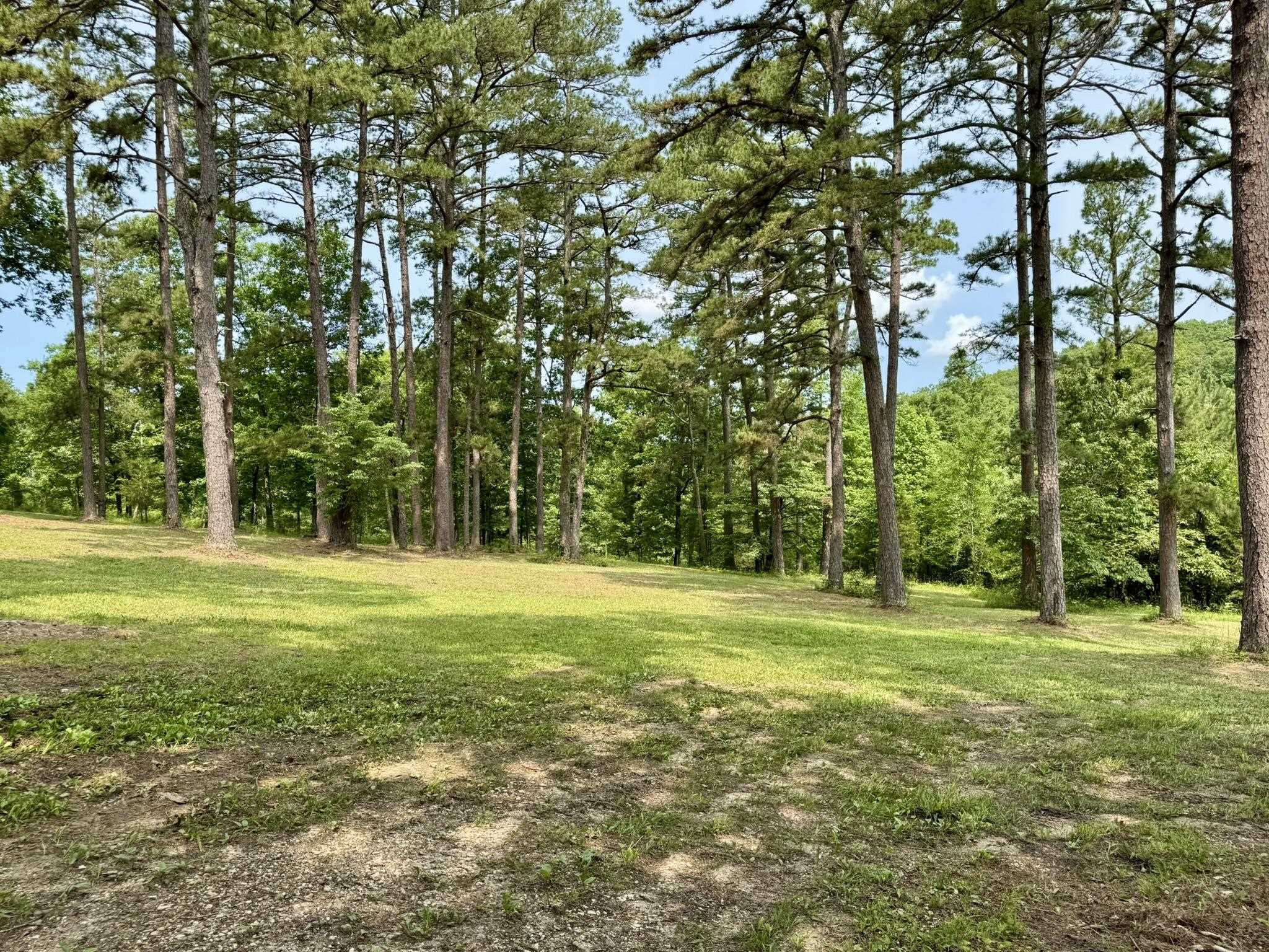 2645  Jumbo Road  Melbourne, AR