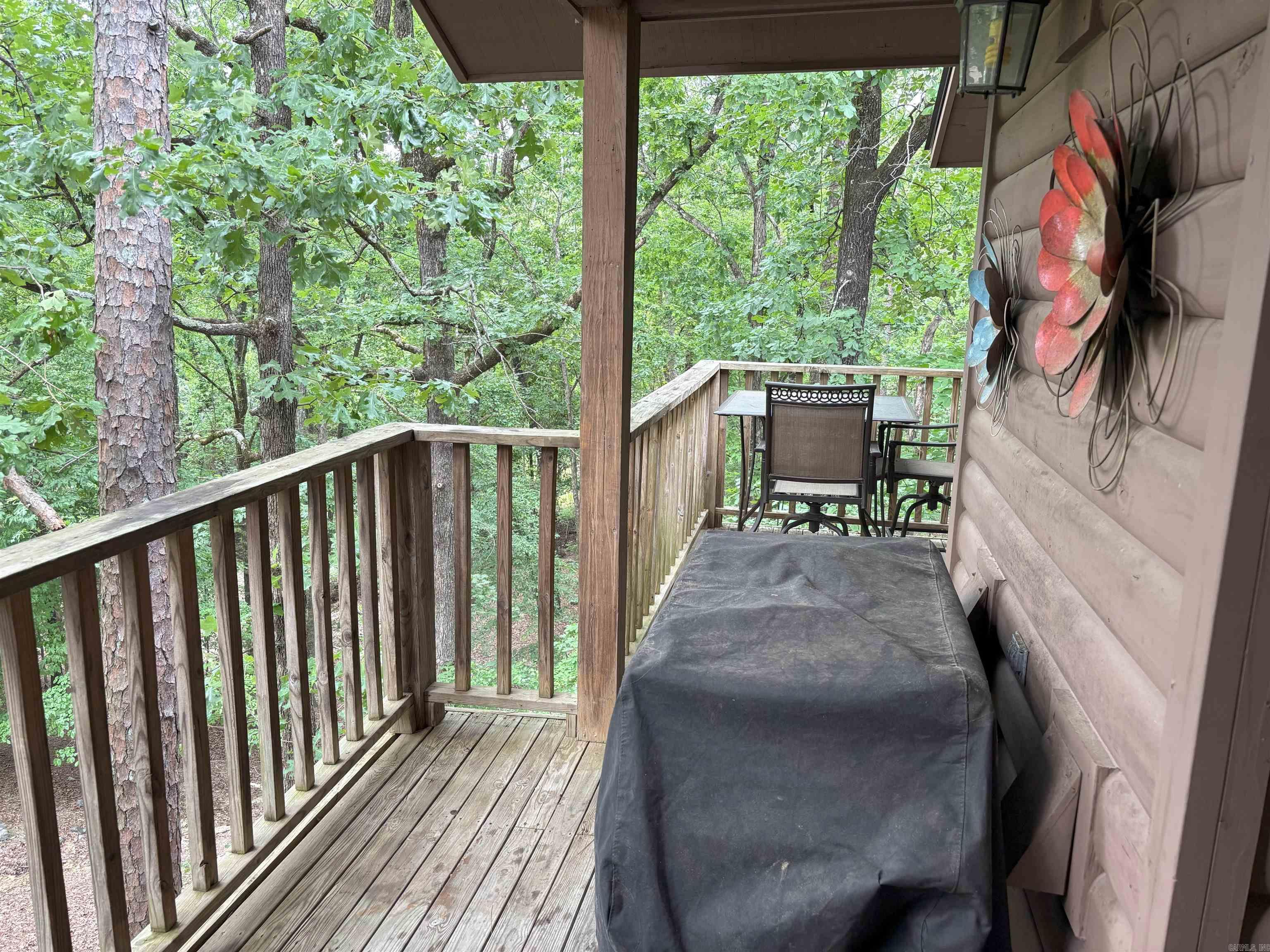 36C  Peninsula  Mount Ida, AR