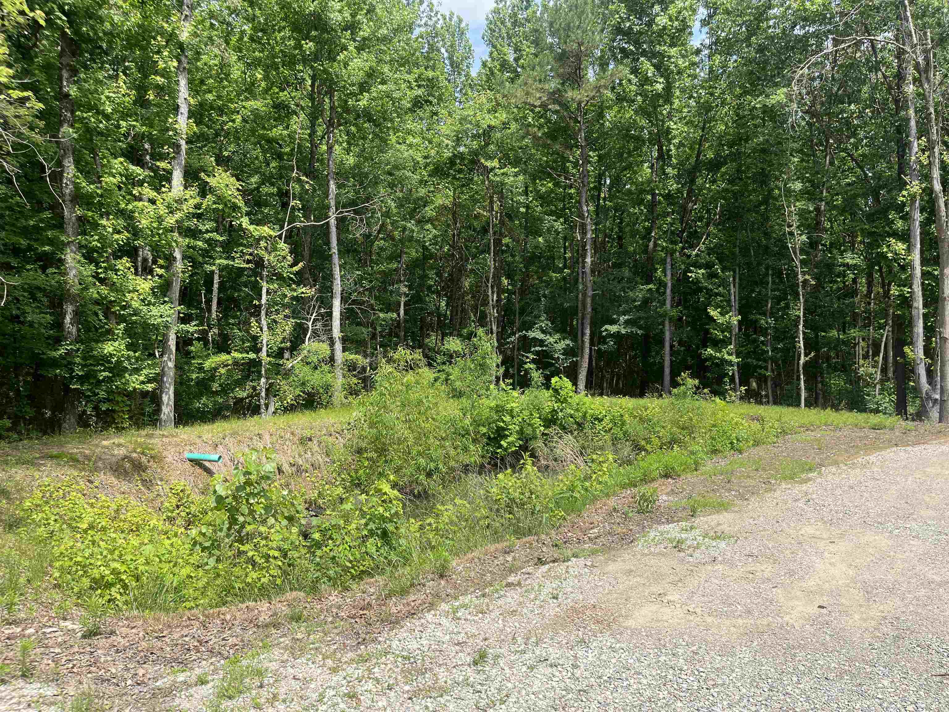 8203  Oak Creek  Harrisonburg, AR
