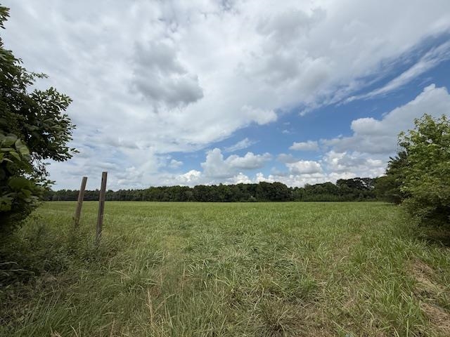 2- 12 ac Tracts  761 Road  Paragould, AR