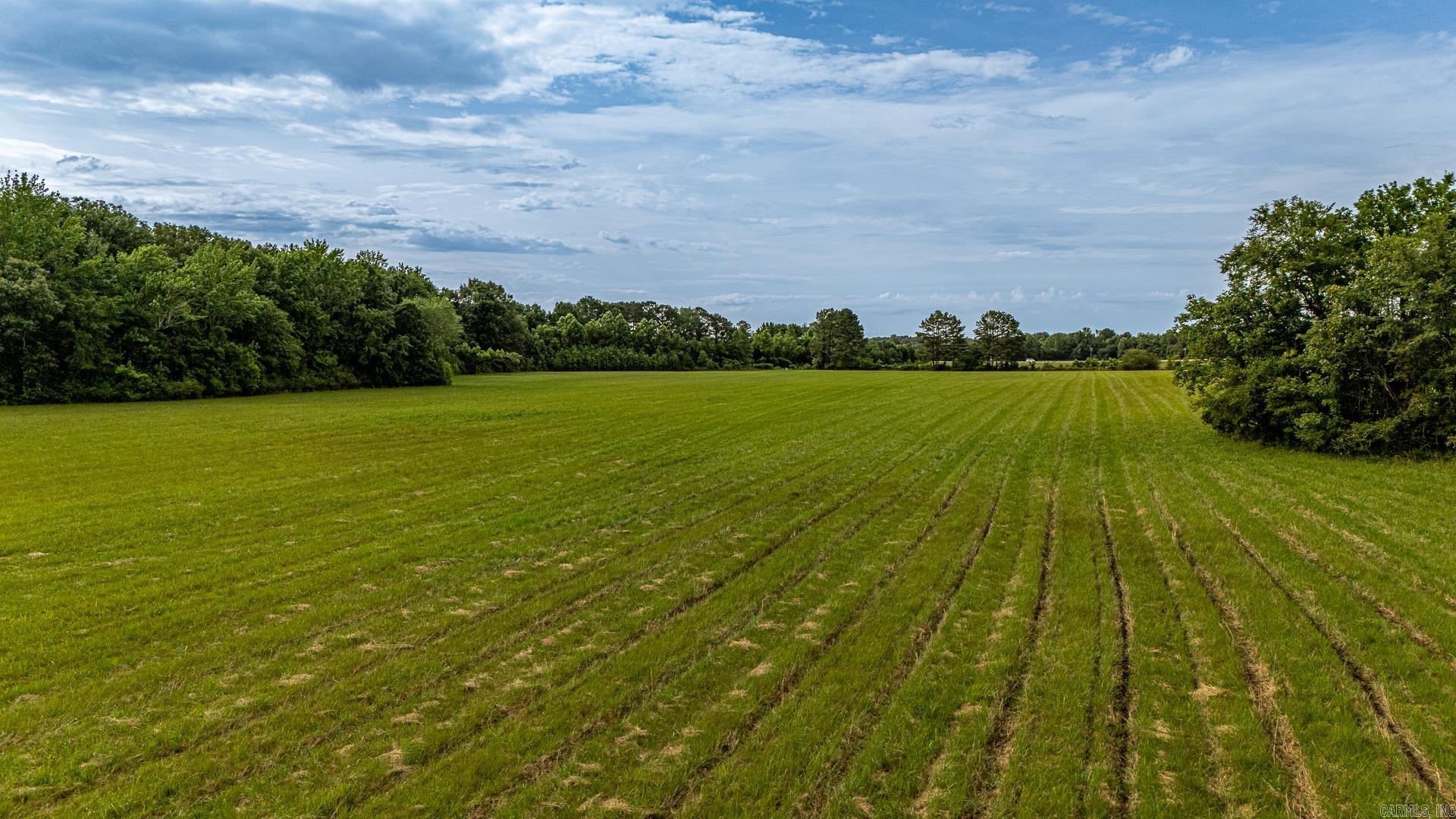 2- 12 ac Tracts 761 Road  Paragould, AR