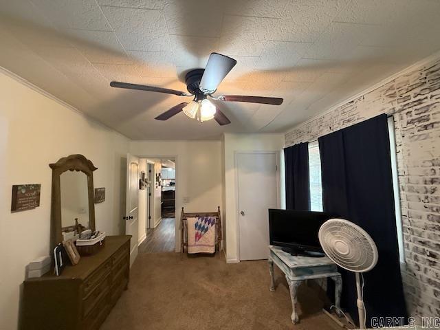 180  Salt Cave Dr.  Greers Ferry, AR