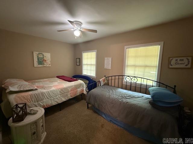 180  Salt Cave Dr.  Greers Ferry, AR