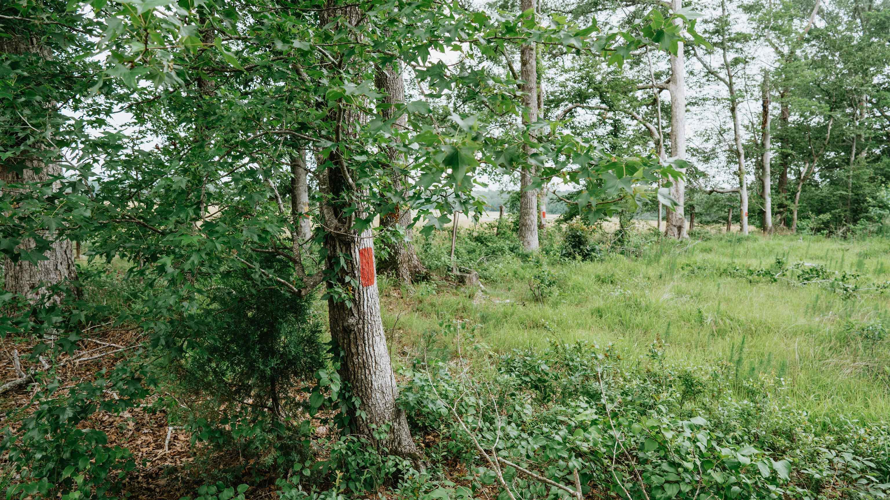 0000  172  Lisbon, AR