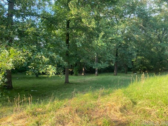 46 N Madrid  Conway, AR