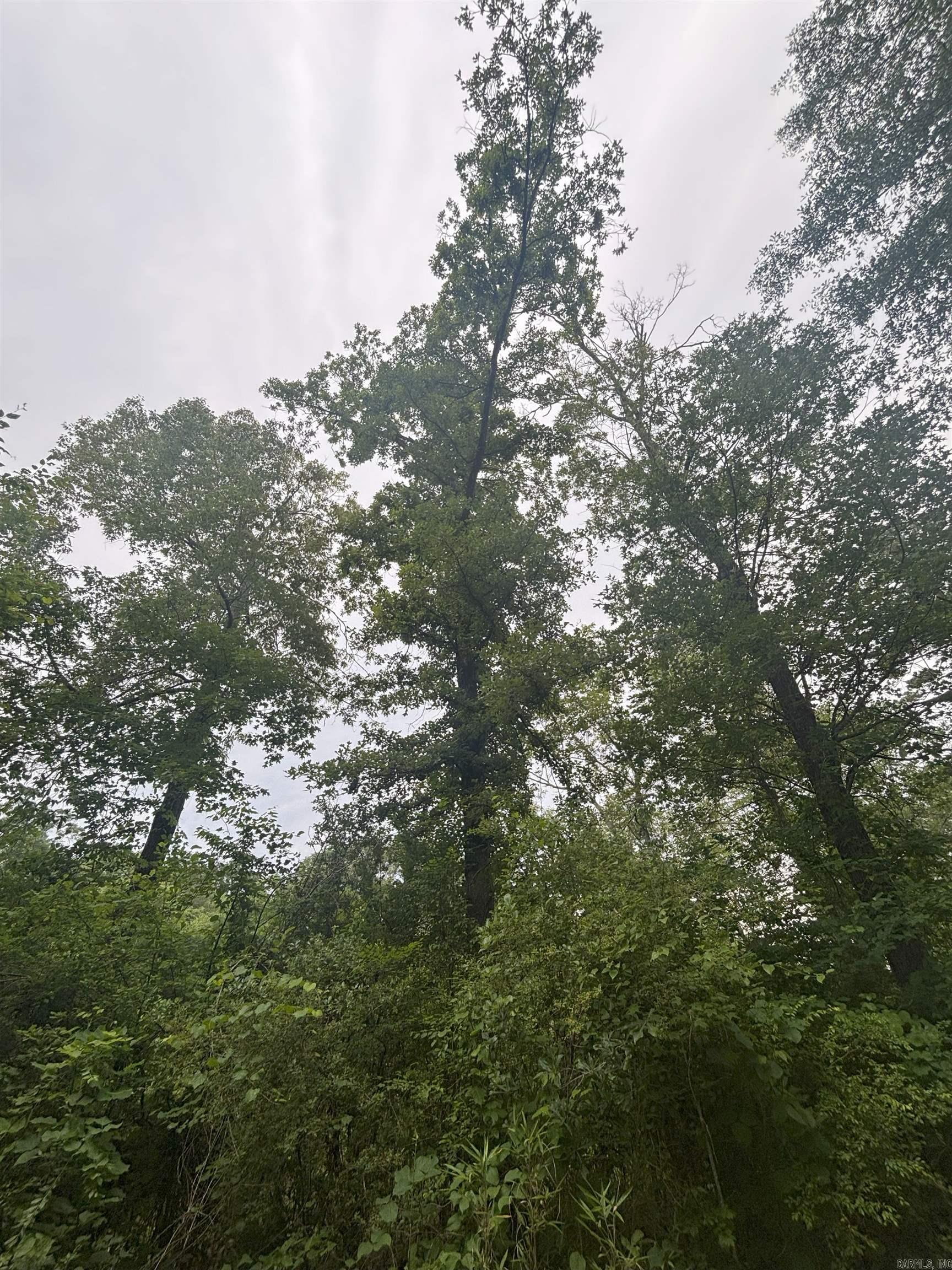 850 Vince Bluff  New Edinburg, AR