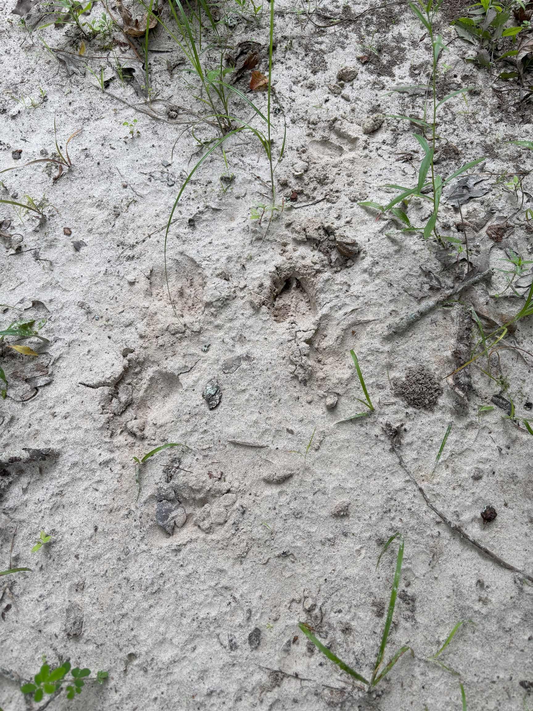 850 Vince Bluff  New Edinburg, AR