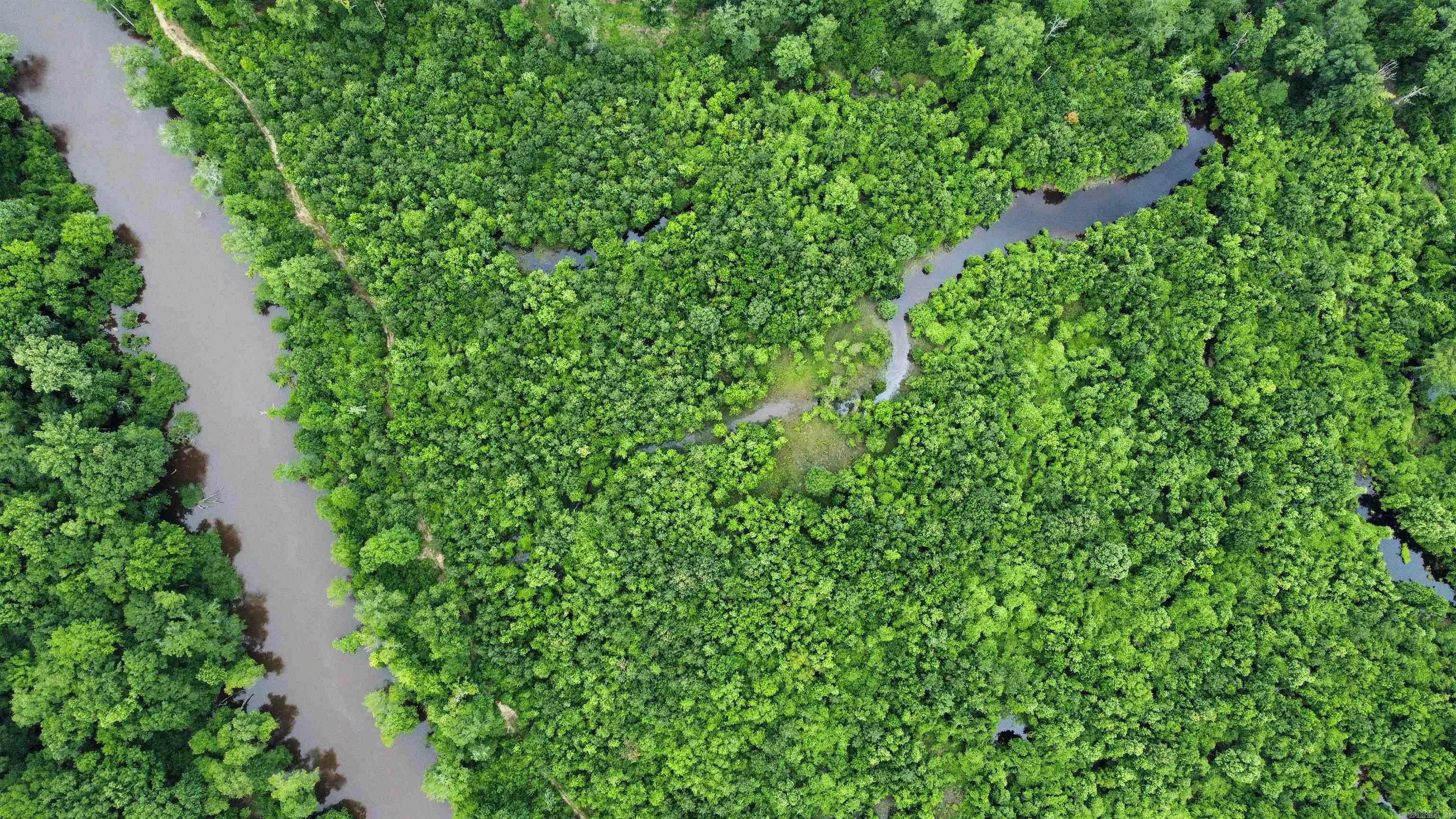 850 Vince Bluff  New Edinburg, AR